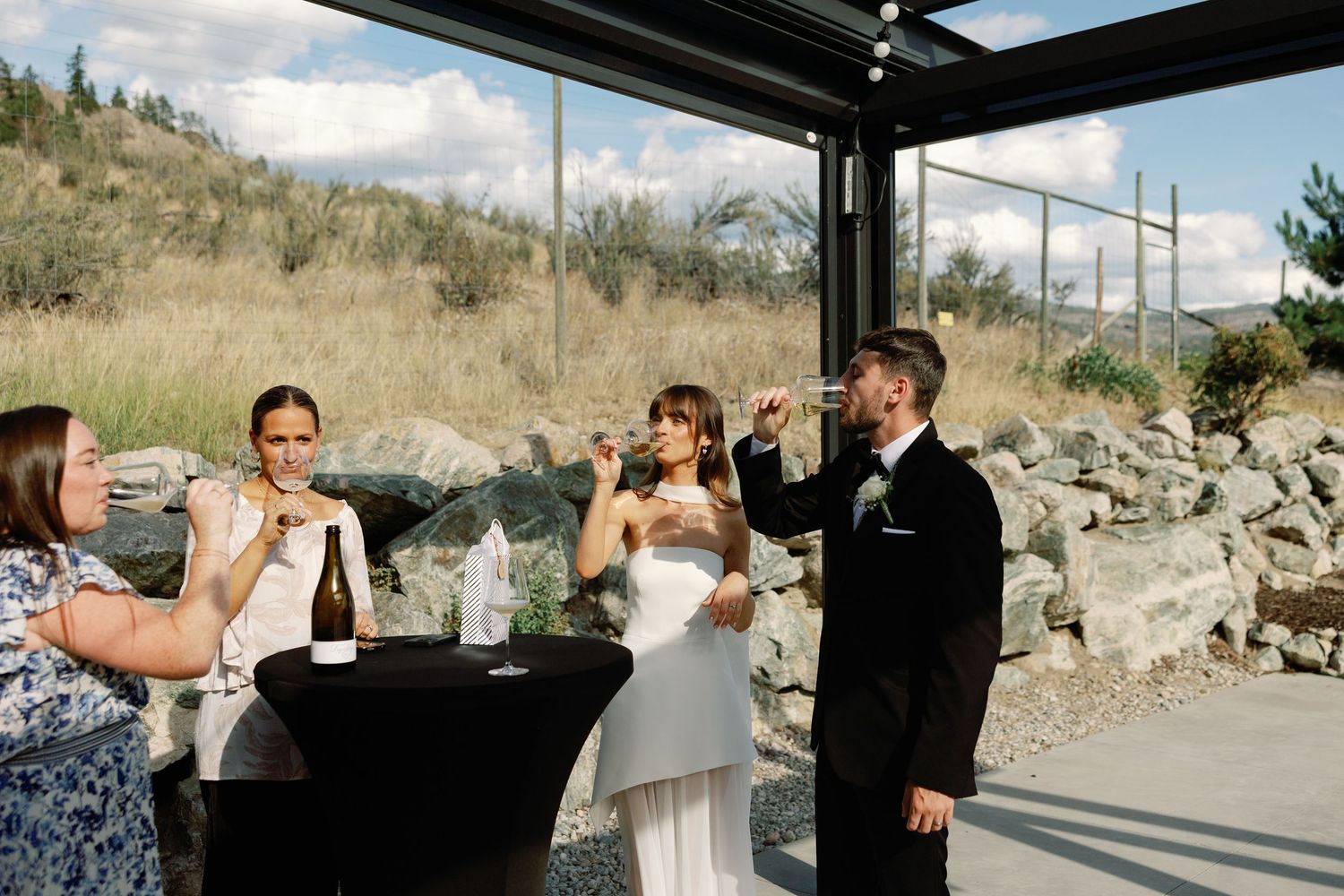 Wedding couple and guests toast with champagne glasses at modern outdoor venue with rocky landscape behind them.