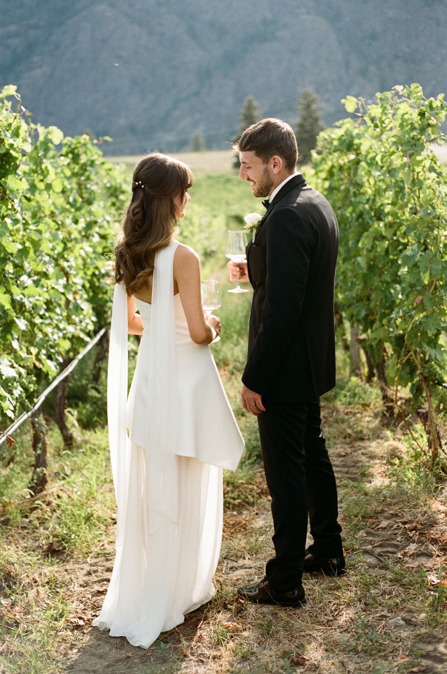 Bride and groom toasting with wine glasses while standing among lush green vineyard rows at wedding.