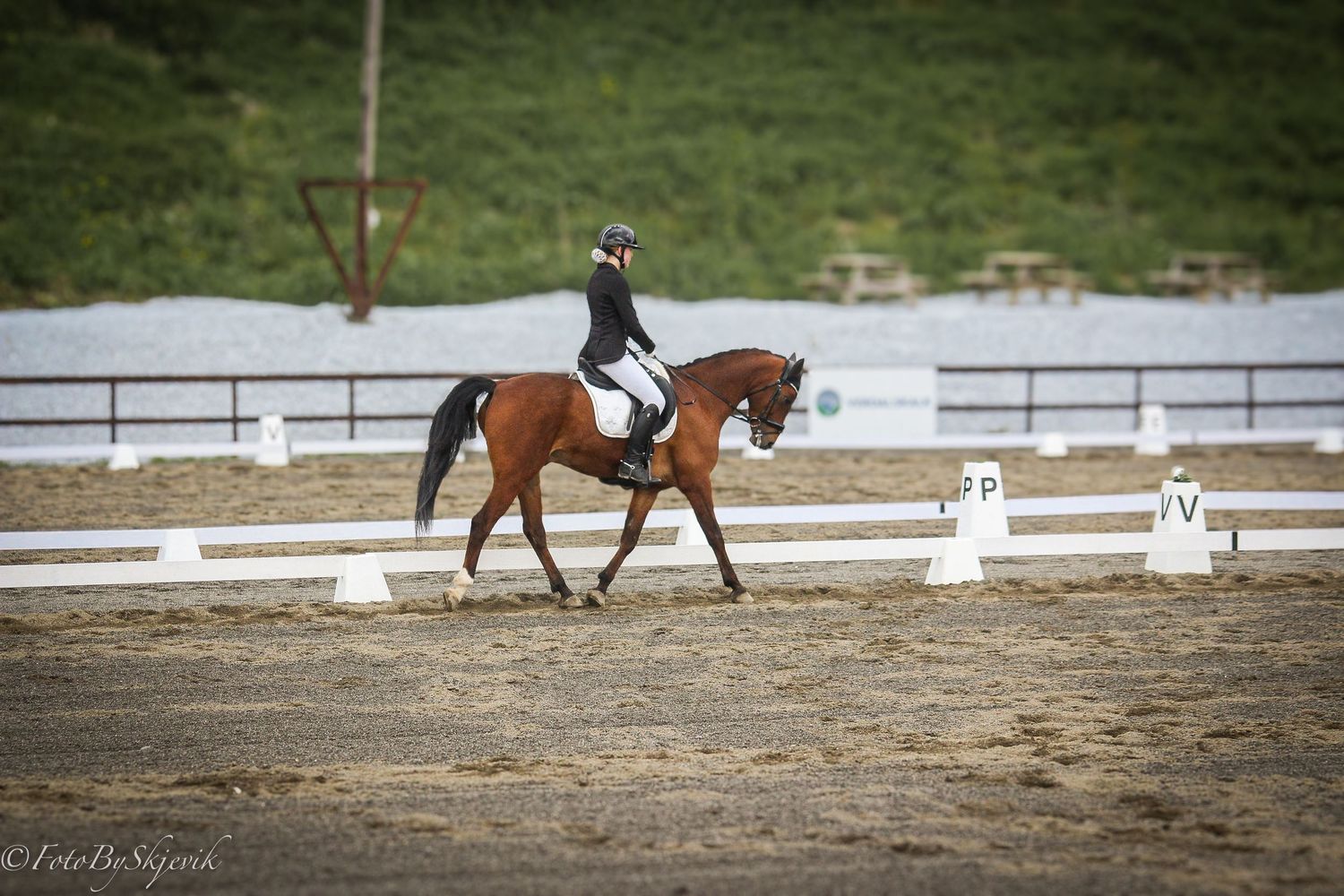 Rider in black attire performing dressage on a bay horse in an outdoor arena with white markers.