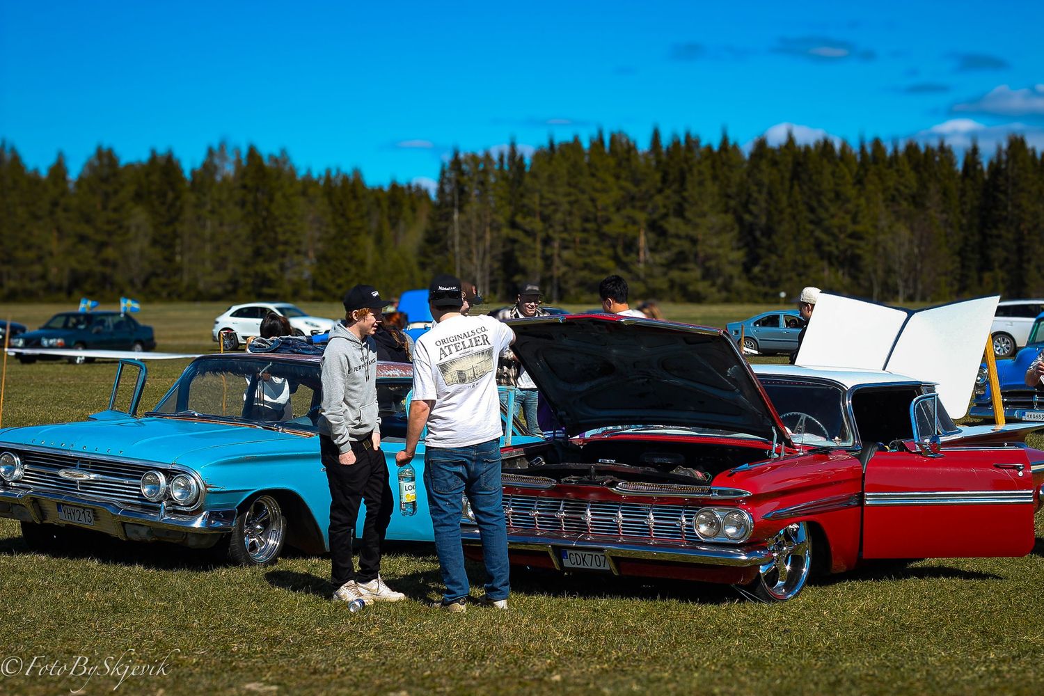 Classic vintage cars lined up at an outdoor car show against a forest backdrop.