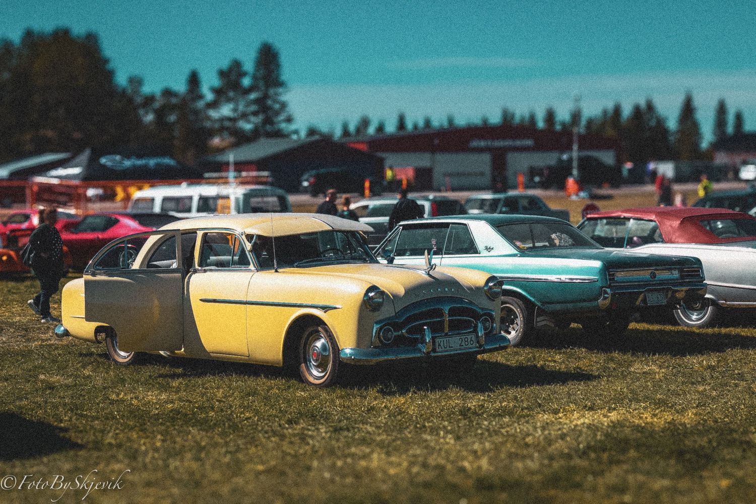 Vintage automobiles displayed on grass at a classic car meet.