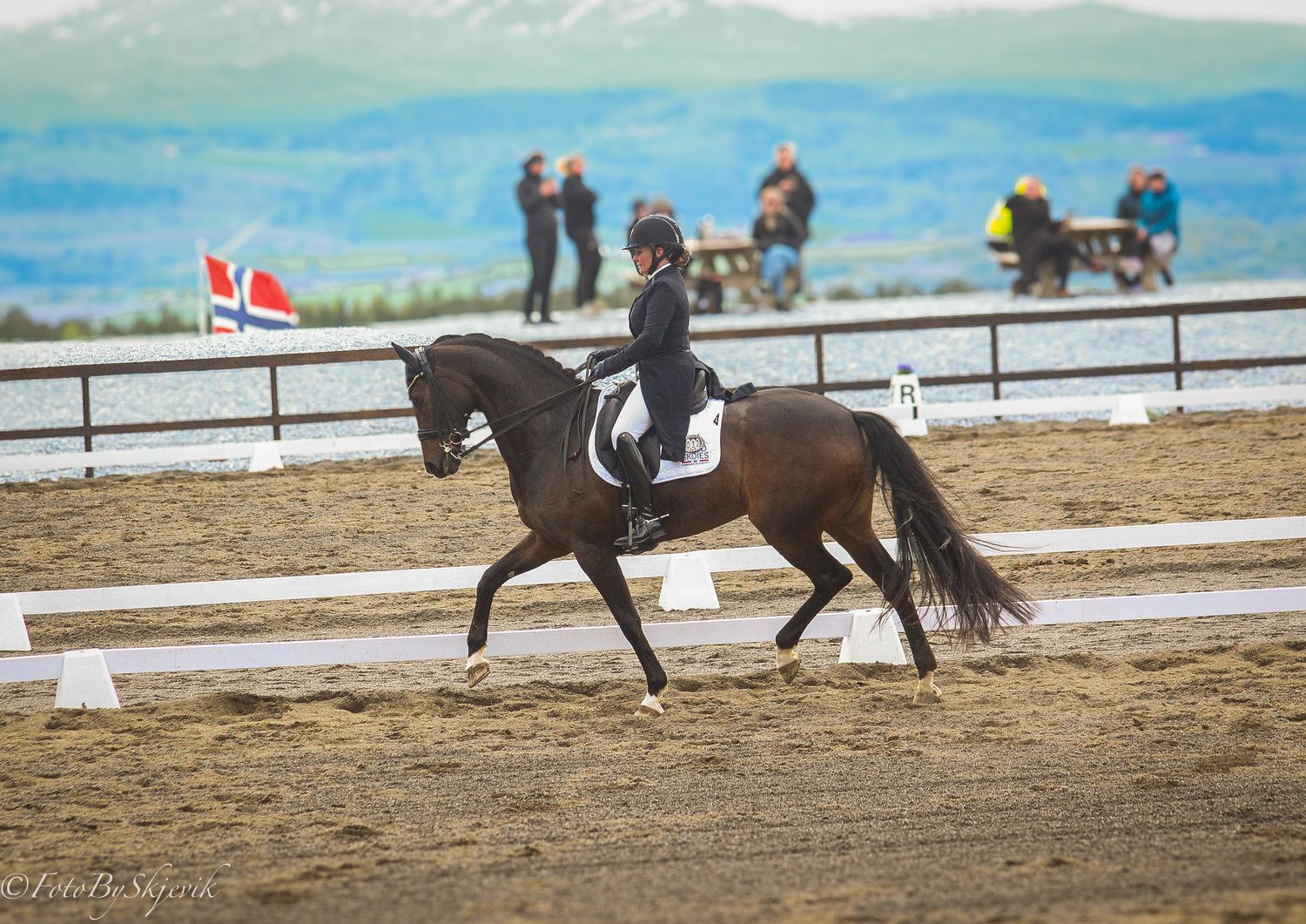 Black horse and rider performing dressage in an outdoor arena with flags and spectators in background.