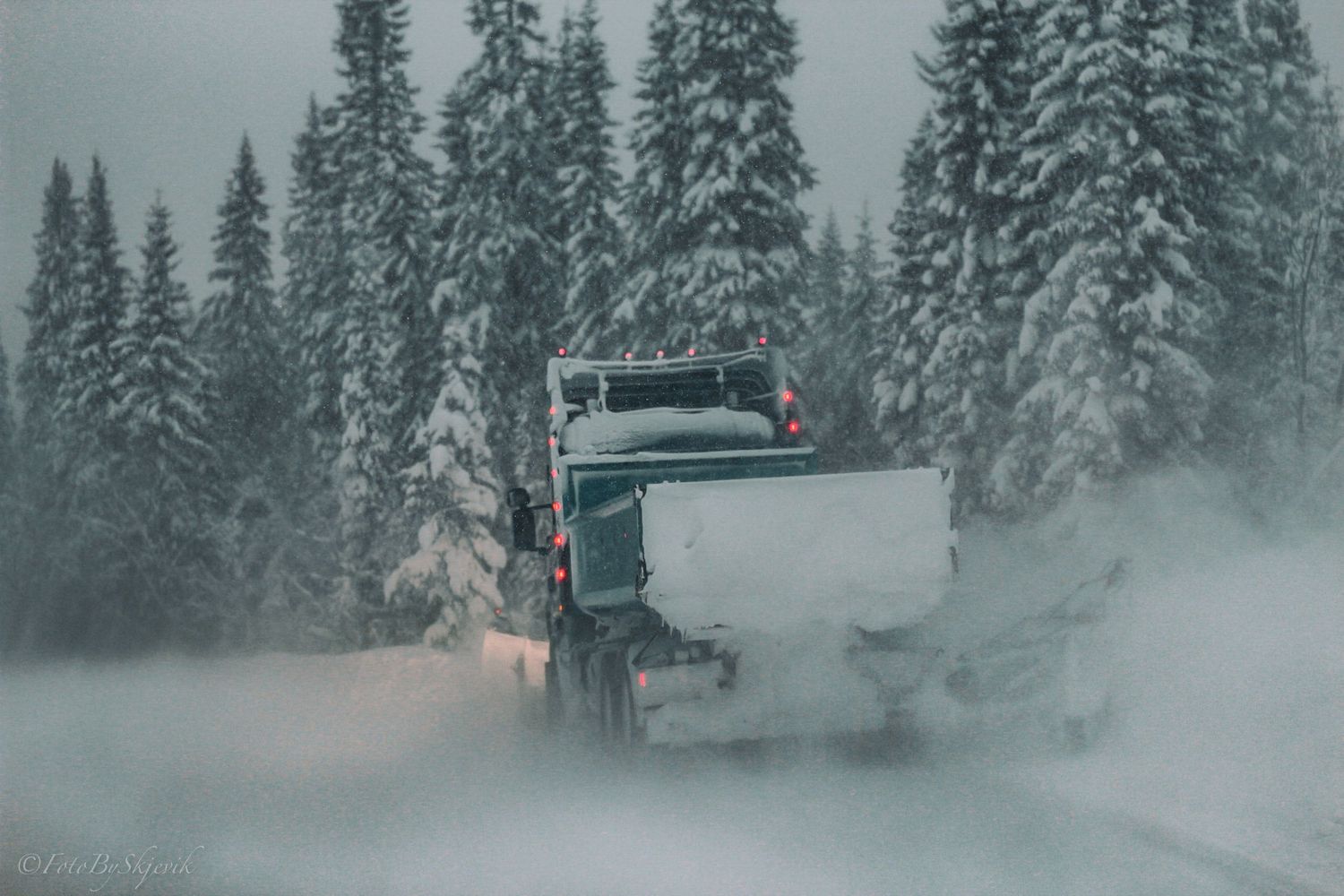 Snow plows clearing a winter road through snow-covered evergreen forest in misty conditions.