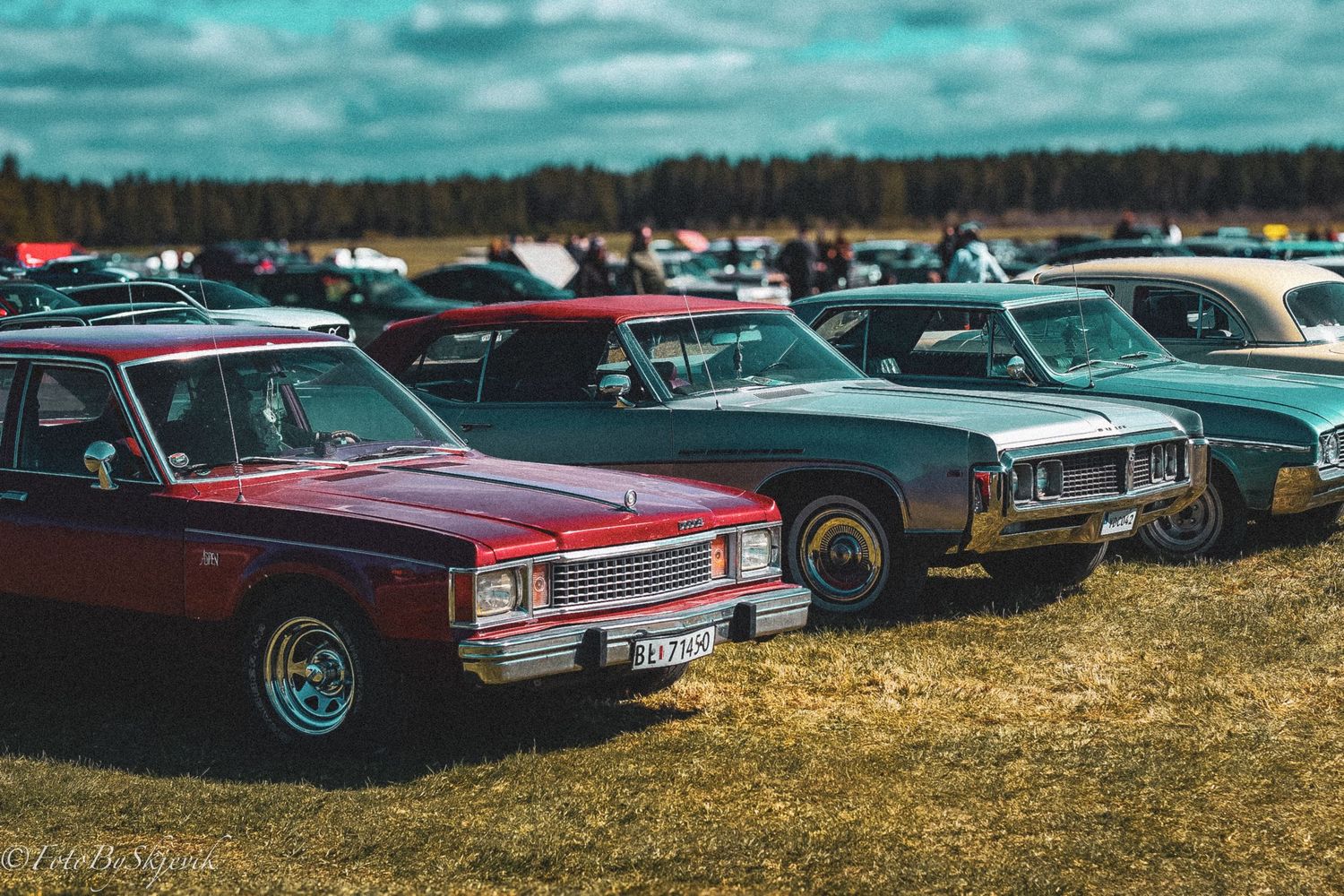 Collection of classic cars parked in rows at a sunny outdoor auto show.