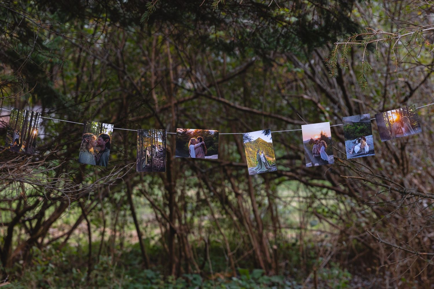 Colorful photos hanging on string between trees create outdoor gallery display.