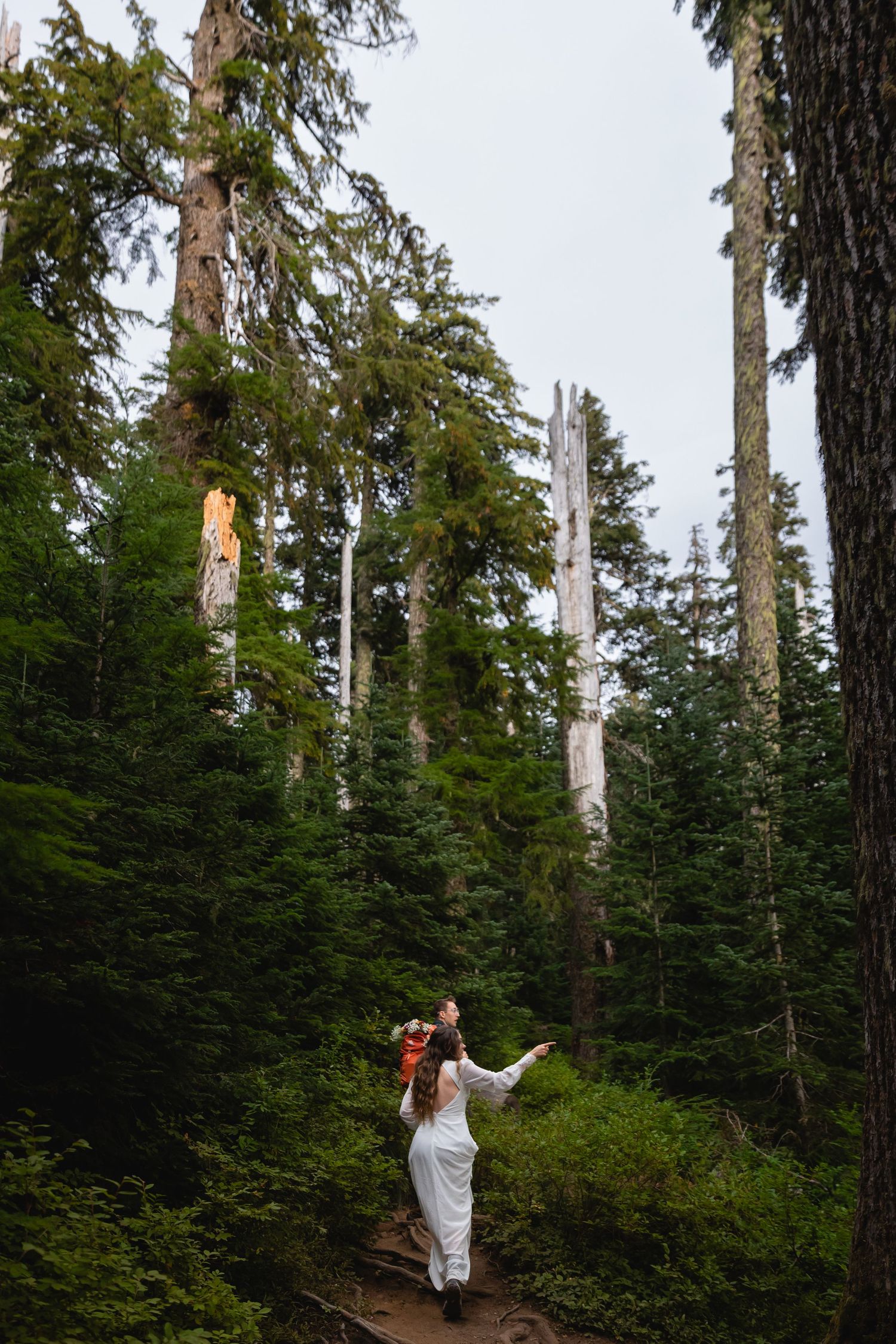 Two people walk through a tall evergreen forest with towering trees in British Columbia.