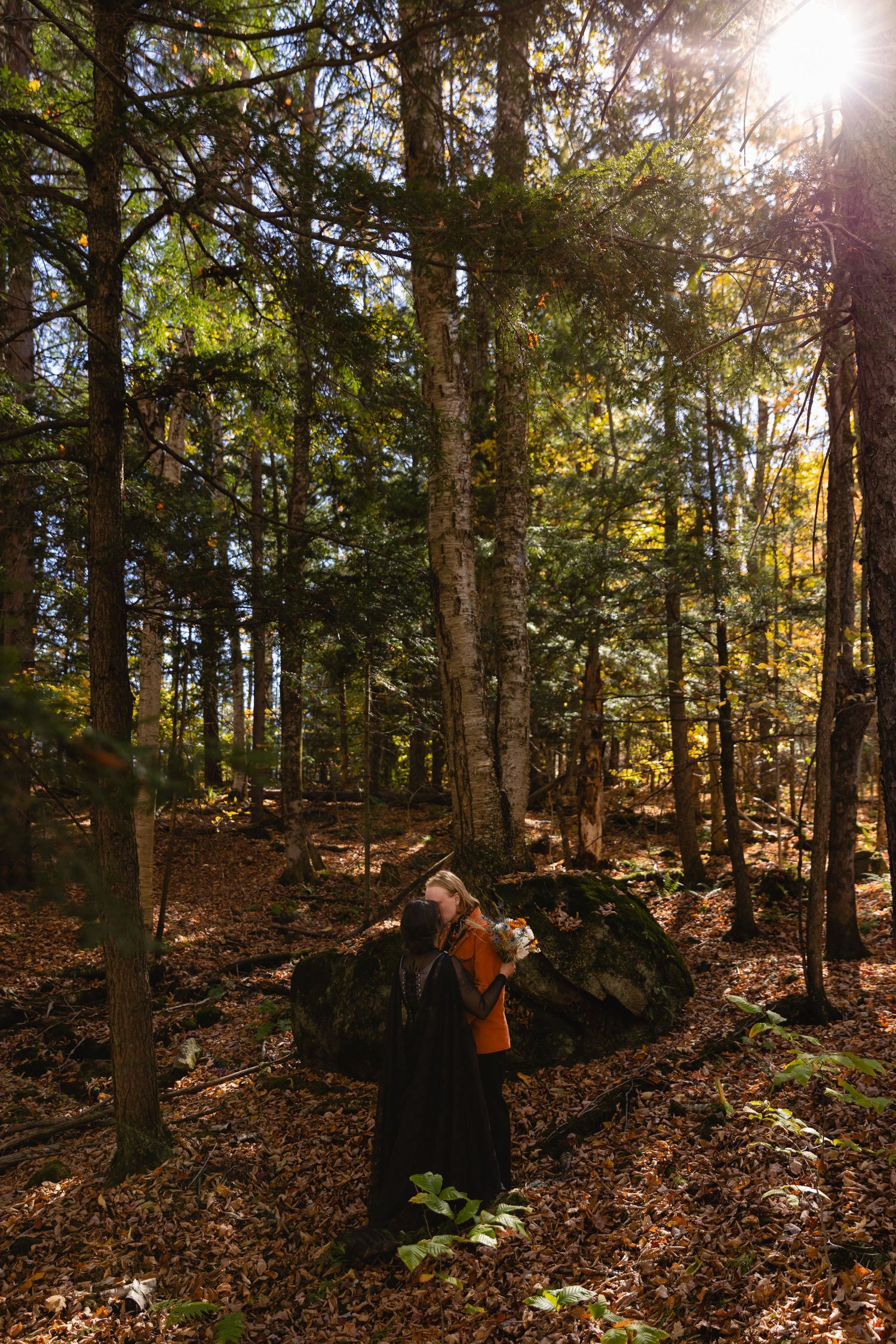 Sunlight streams through tall evergreen trees in a forest while a person hikes along a leaf-covered trail.