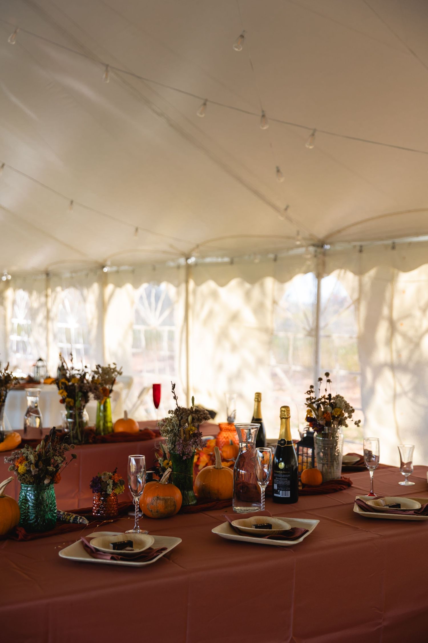 Rustic fall wedding table setting under white tent with pumpkins, wine bottles and floral centerpieces on burgundy tablecloth.