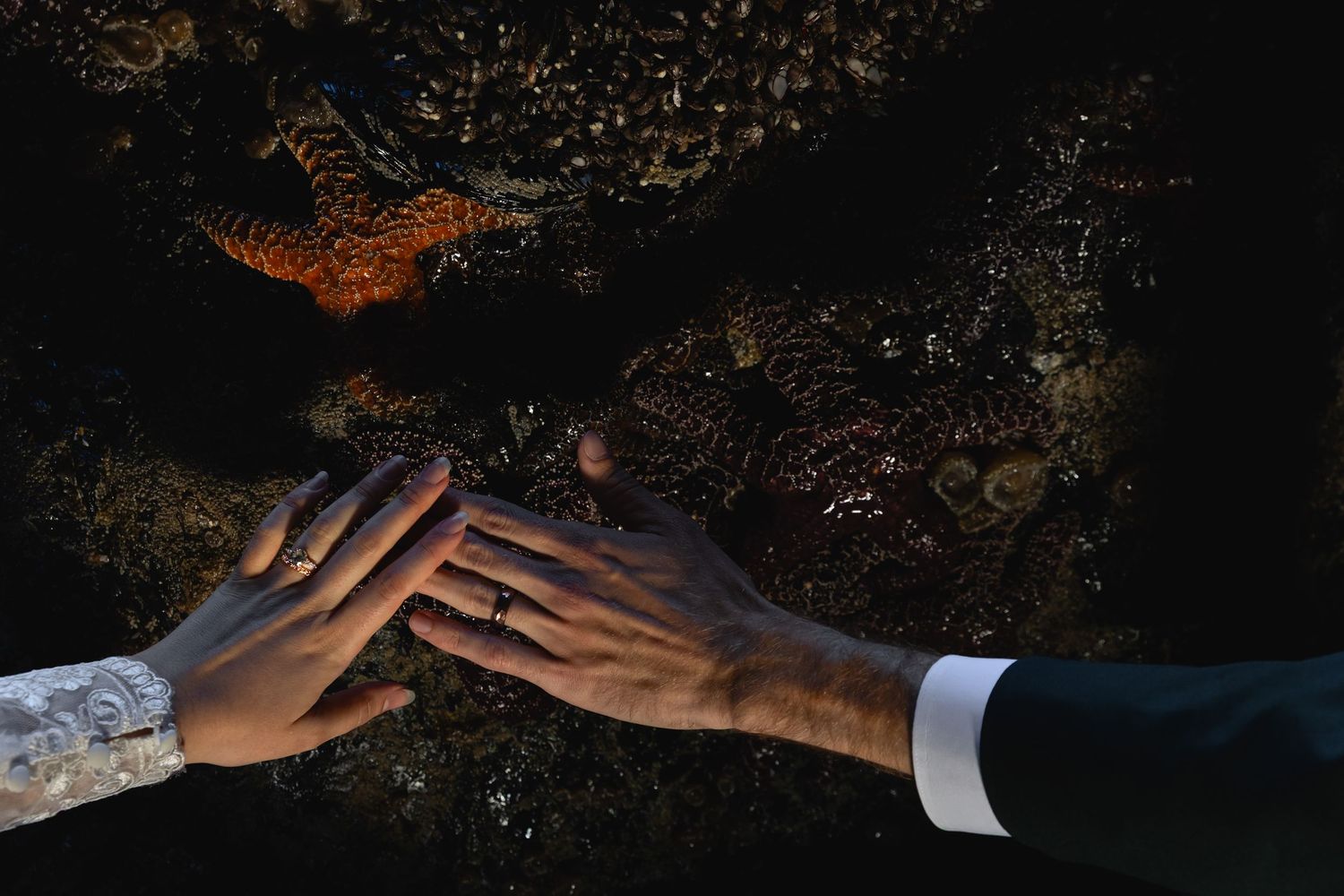 Close-up of bride and groom hands touching on dark rocky surface, wedding rings visible.