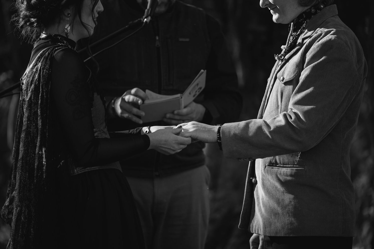 Musicians perform in a black and white photograph showing hands playing string instruments in low lighting.