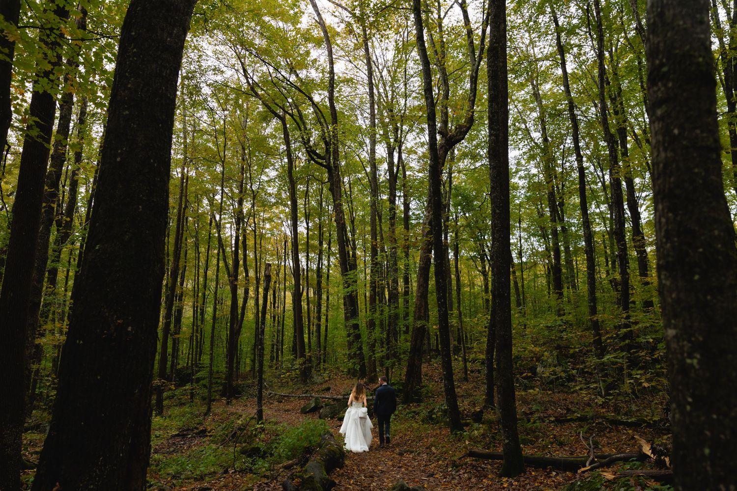White wedding dress stands out against lush green forest path during daytime.