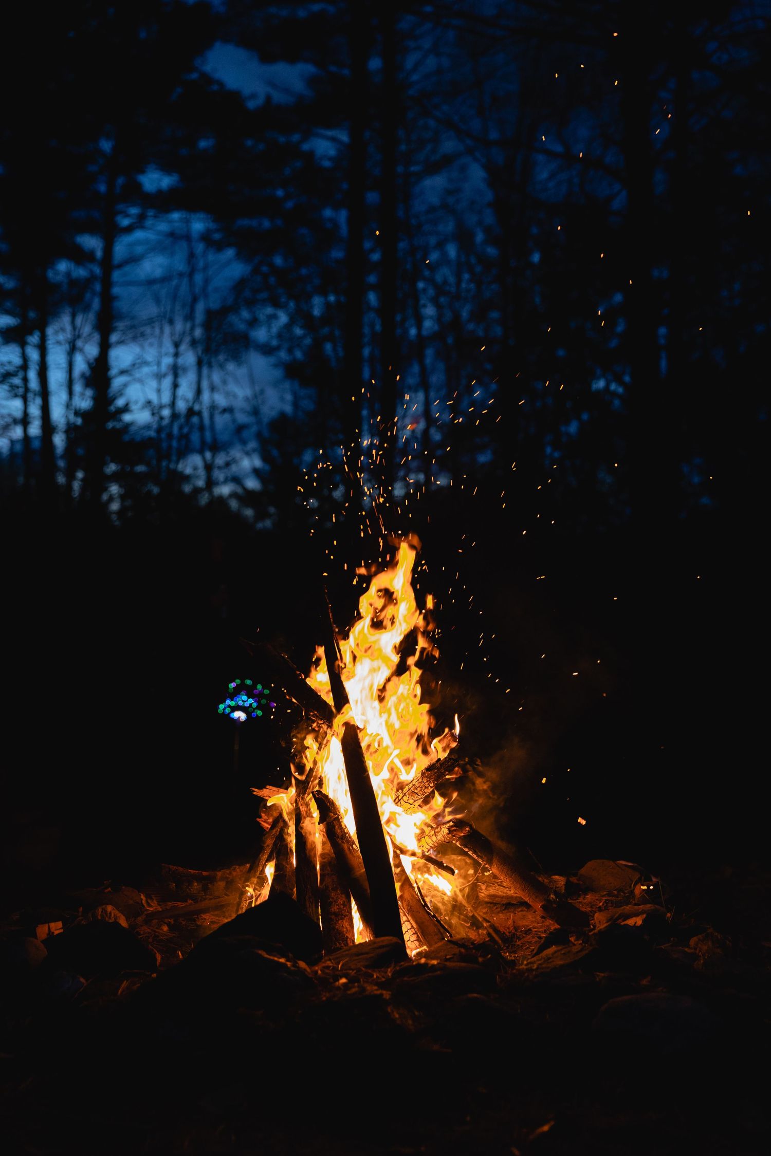 Dramatic bonfire with bright orange flames and sparks flying against a dark forest night sky.