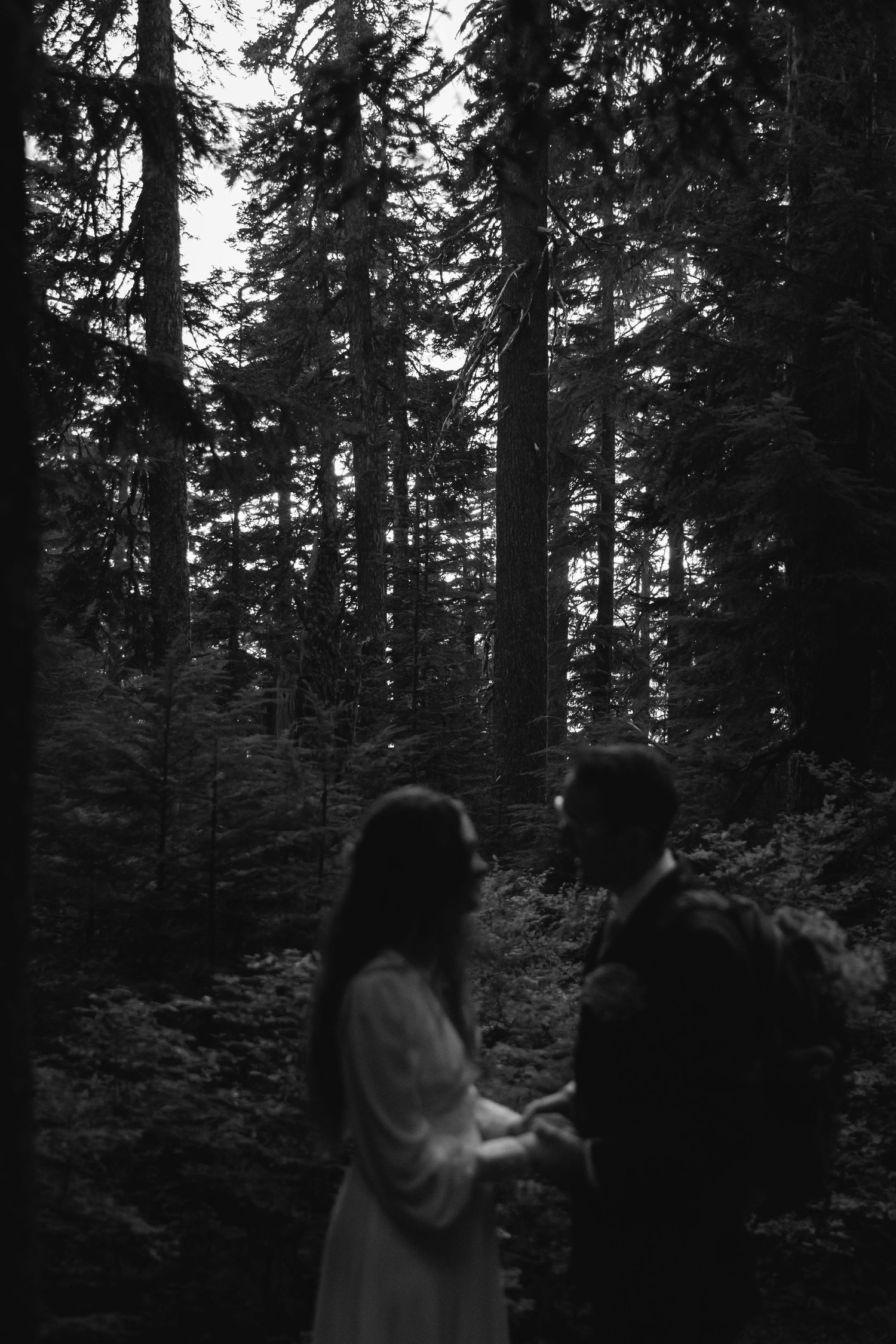 A couple shares an intimate moment in a dark forest with tall evergreen trees towering above them.