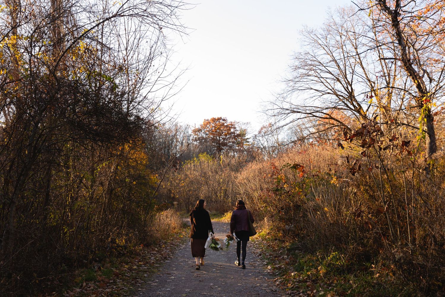 Two people walk together on an autumn trail surrounded by bare trees and golden foliage on a cloudy day.