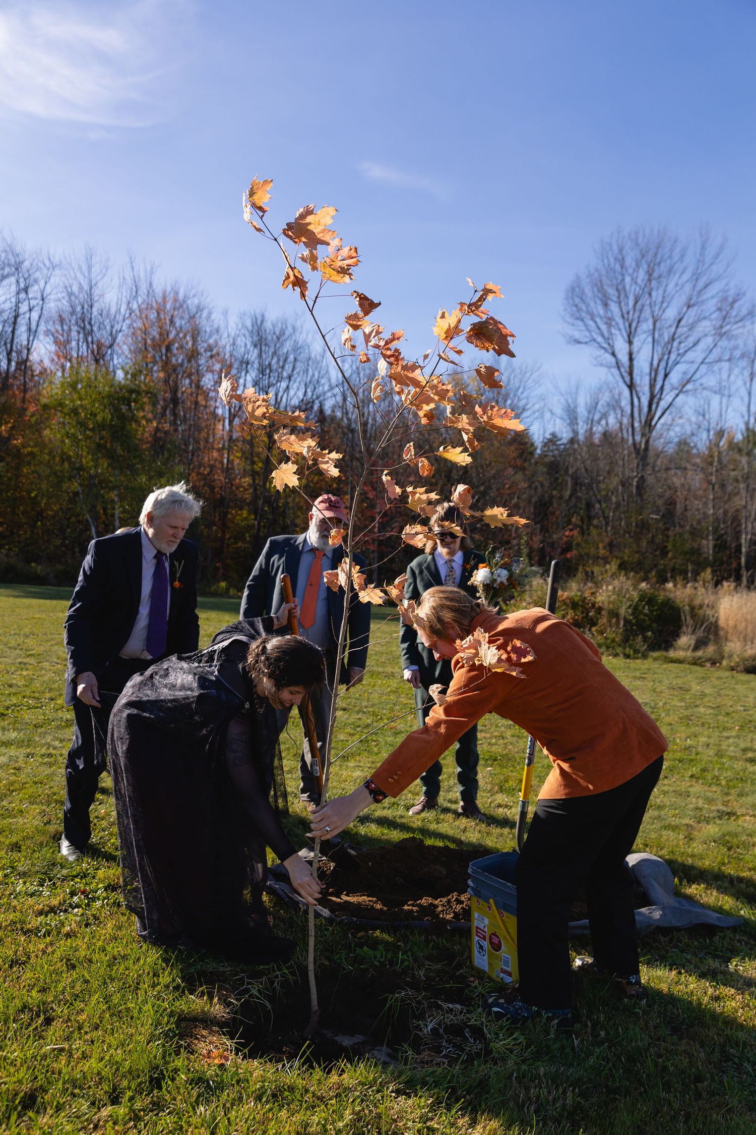 People gather outdoors in autumn sunlight to plant trees and shrubs in a grassy field on a clear day.