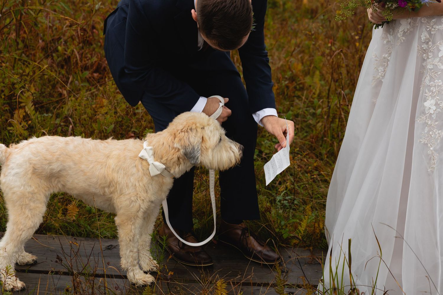 A fluffy white dog interacts with wedding couple during their mountain ceremony.