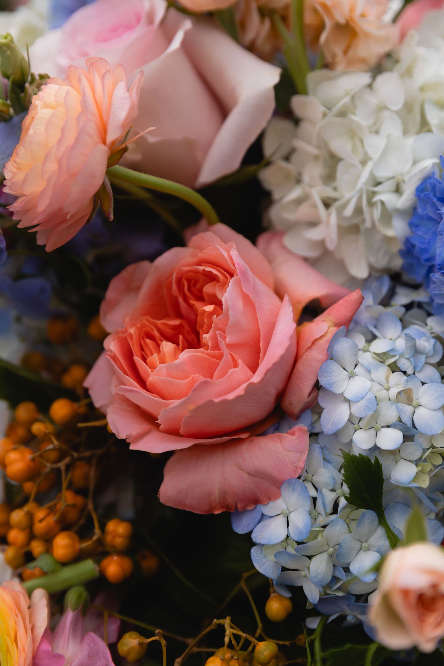 Beautiful floral arrangement featuring coral pink roses, light blue hydrangeas, and small orange berries in natural light.