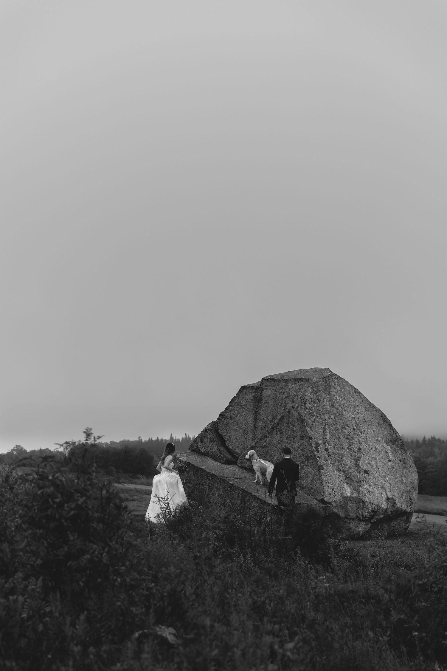 Wedding couple in black and white pose dramatically on a large boulder in a field.