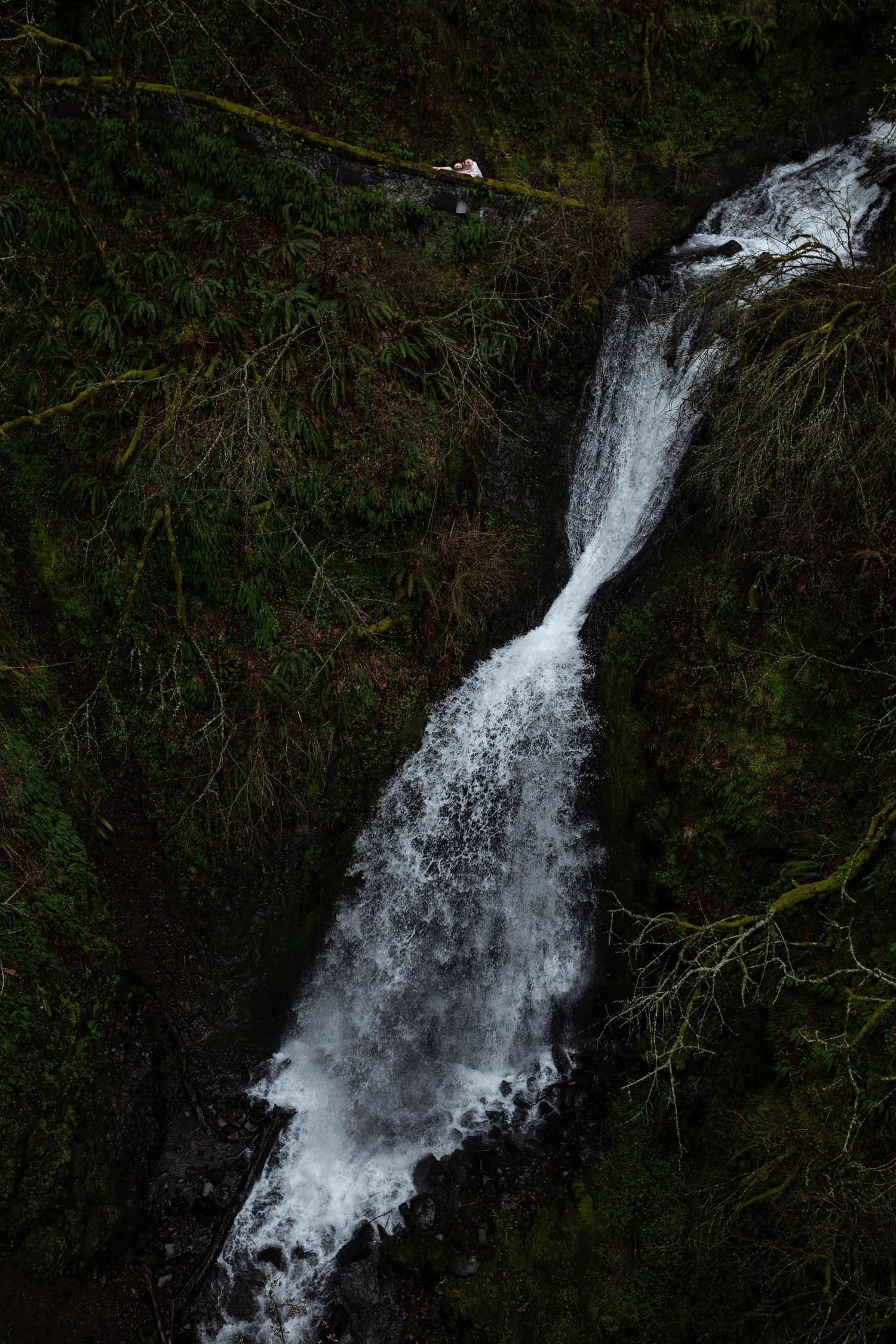 Aerial view of narrow waterfall cascading through lush green moss-covered forest ravine.