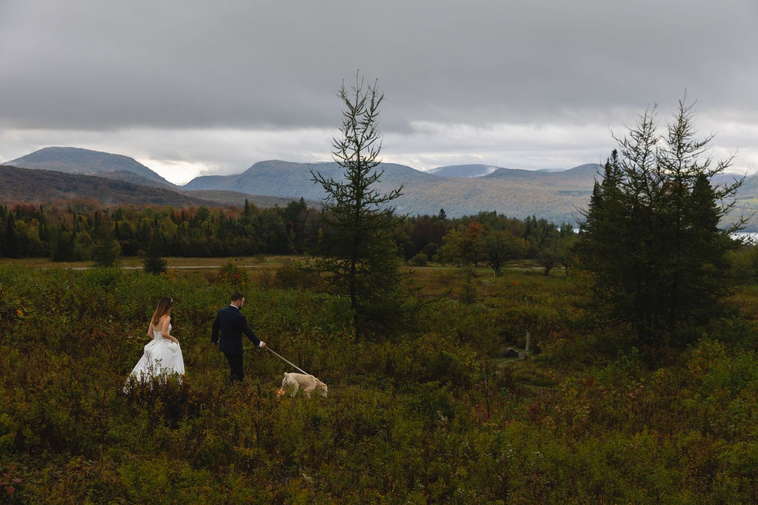 A couple and their dog walk through an autumn mountain landscape during their wedding day.