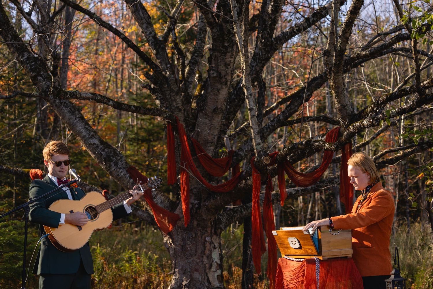 Acoustic guitar player performs outdoors in a wooded autumn setting with red decorative lights strung between trees.