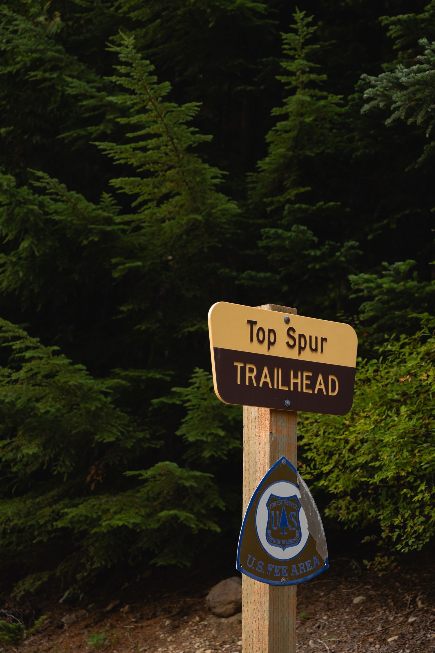 Wooden trail markers showing 'Top Spur' and 'Trailhead' signs mounted on posts in a forested area.