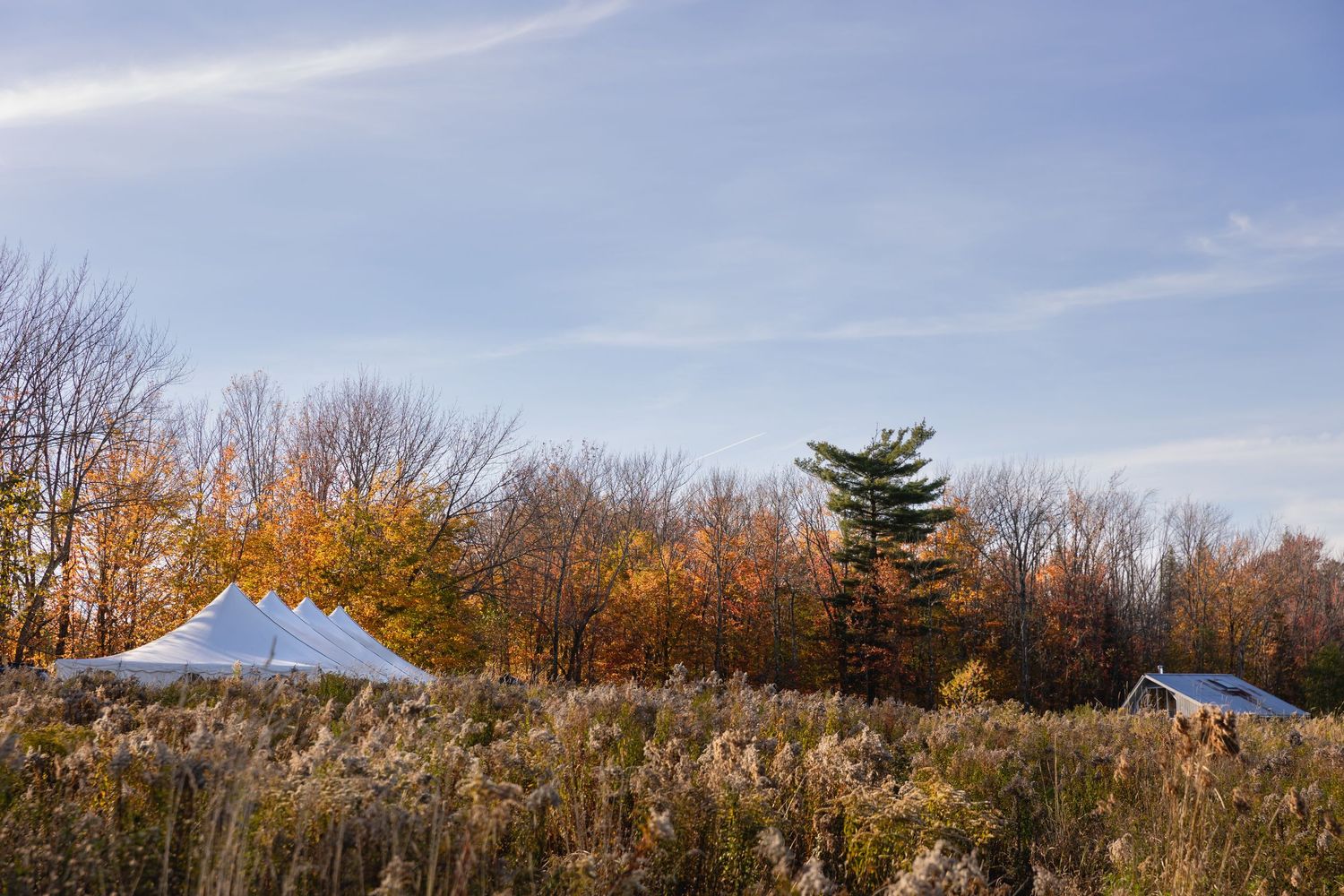 A panoramic autumn landscape with bare trees and a rustic barn against a bright blue sky.
