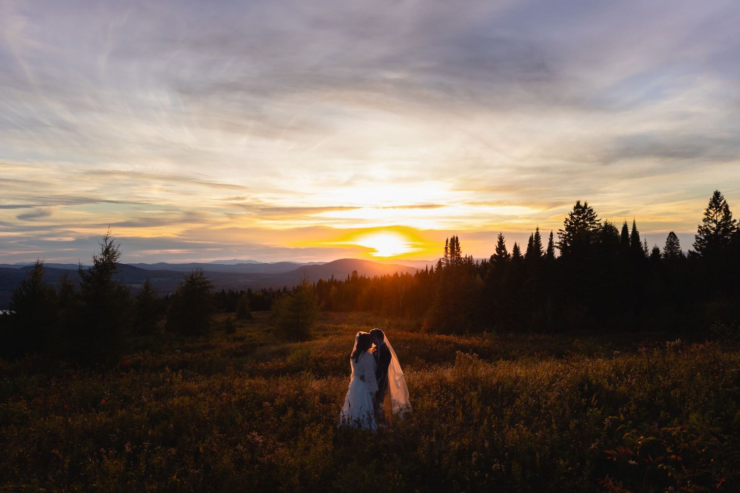 Wedding couple silhouetted against a breathtaking mountain sunset with pine trees and golden meadow.
