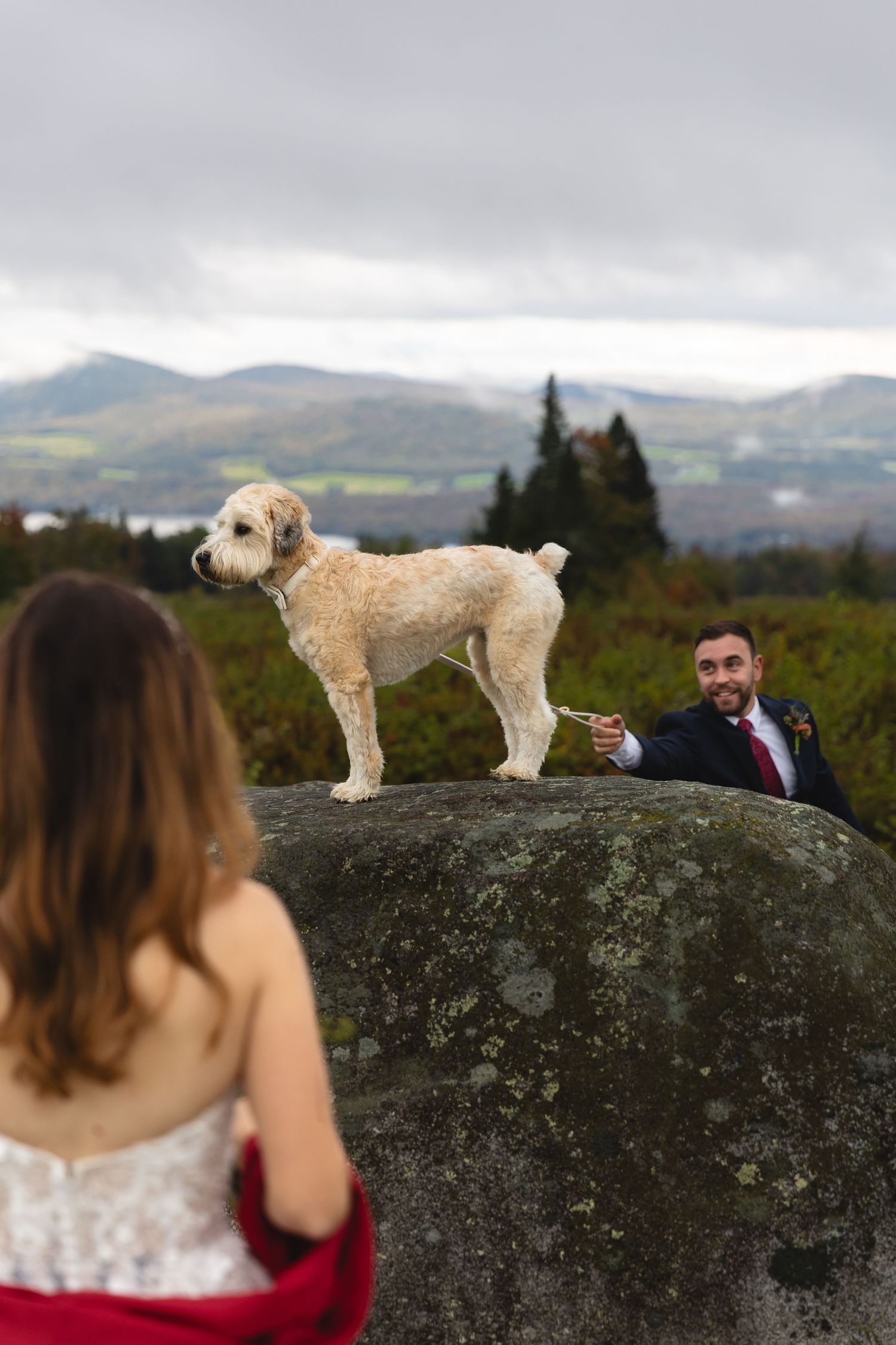 A fluffy white dog stands atop a large rock while a couple in wedding attire interacts below against a mountain backdrop.
