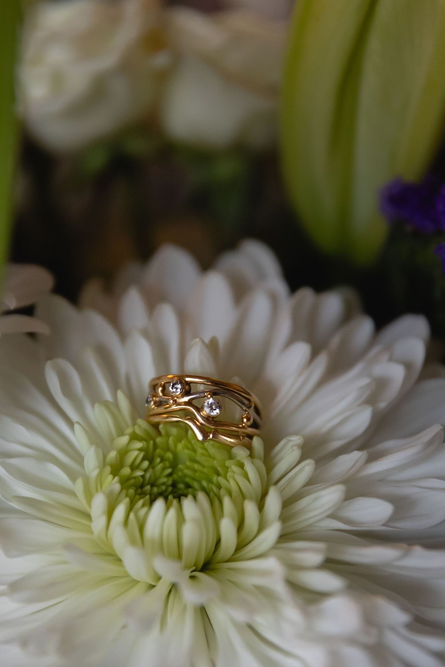 Gold wedding ring with small diamonds rests on a white chrysanthemum flower in bloom.
