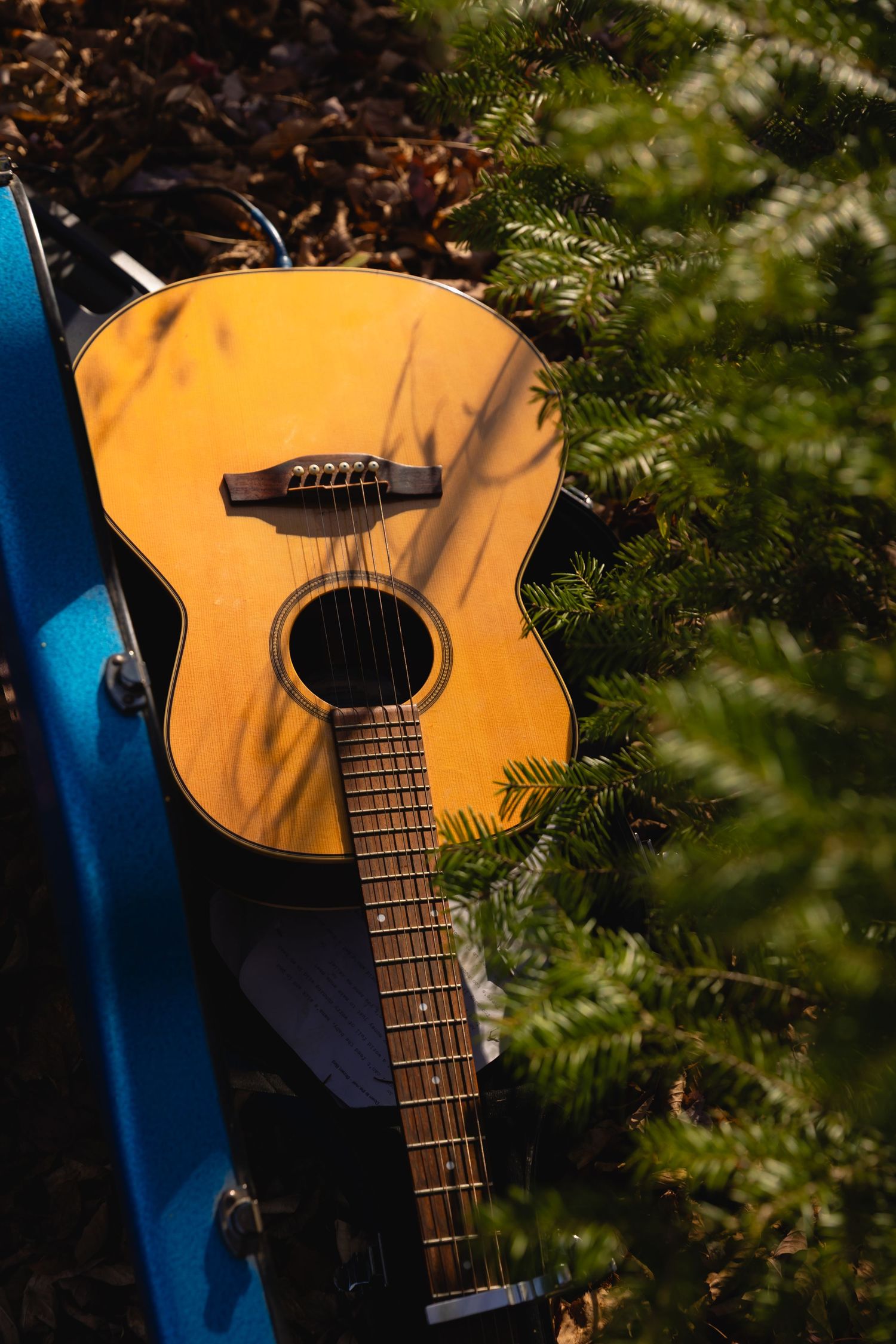 Acoustic guitar with golden wood finish photographed against evergreen branches and blue backdrop in natural lighting.