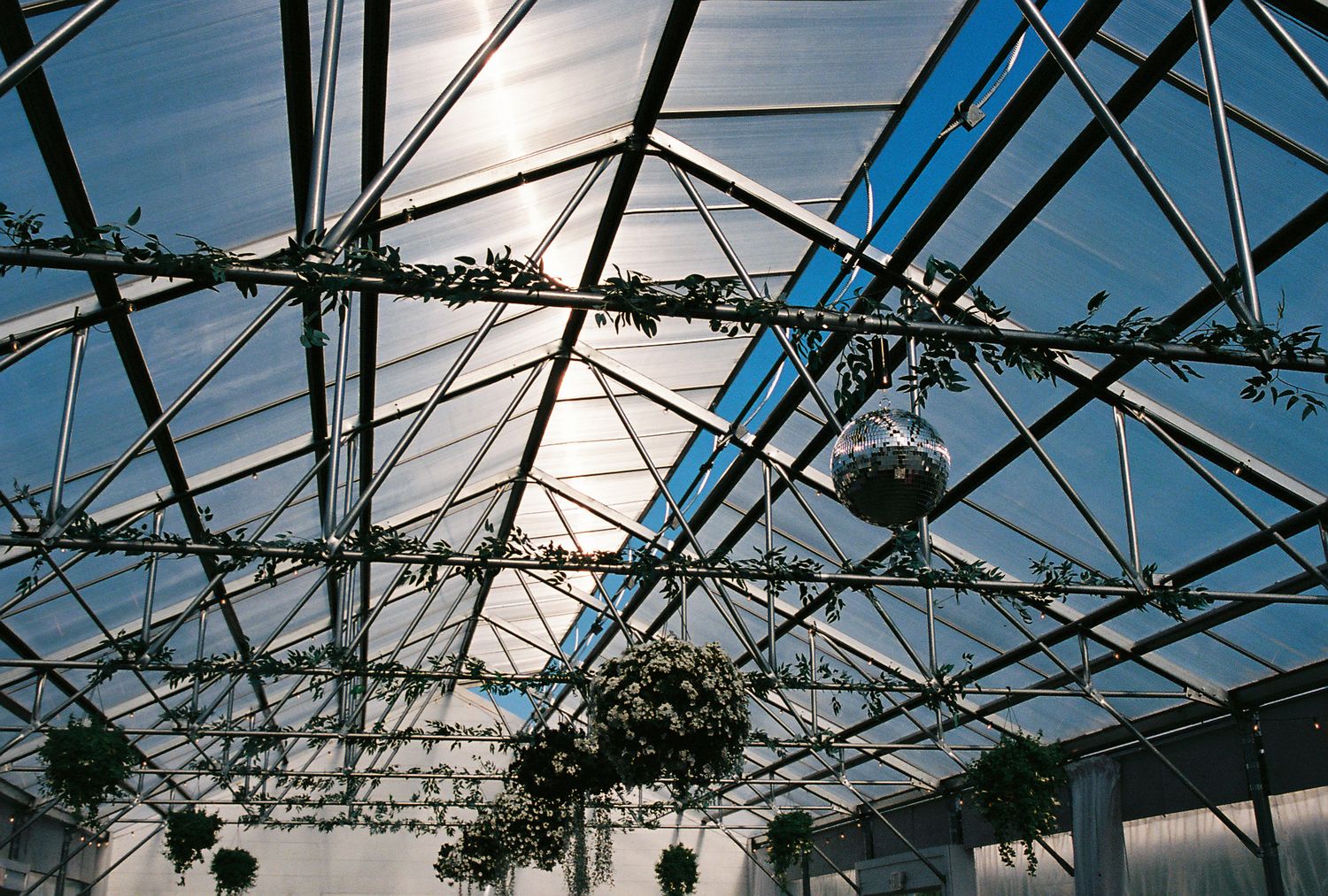Architectural detail of a glass ceiling with metal framework and tree branches visible through the transparent panels.