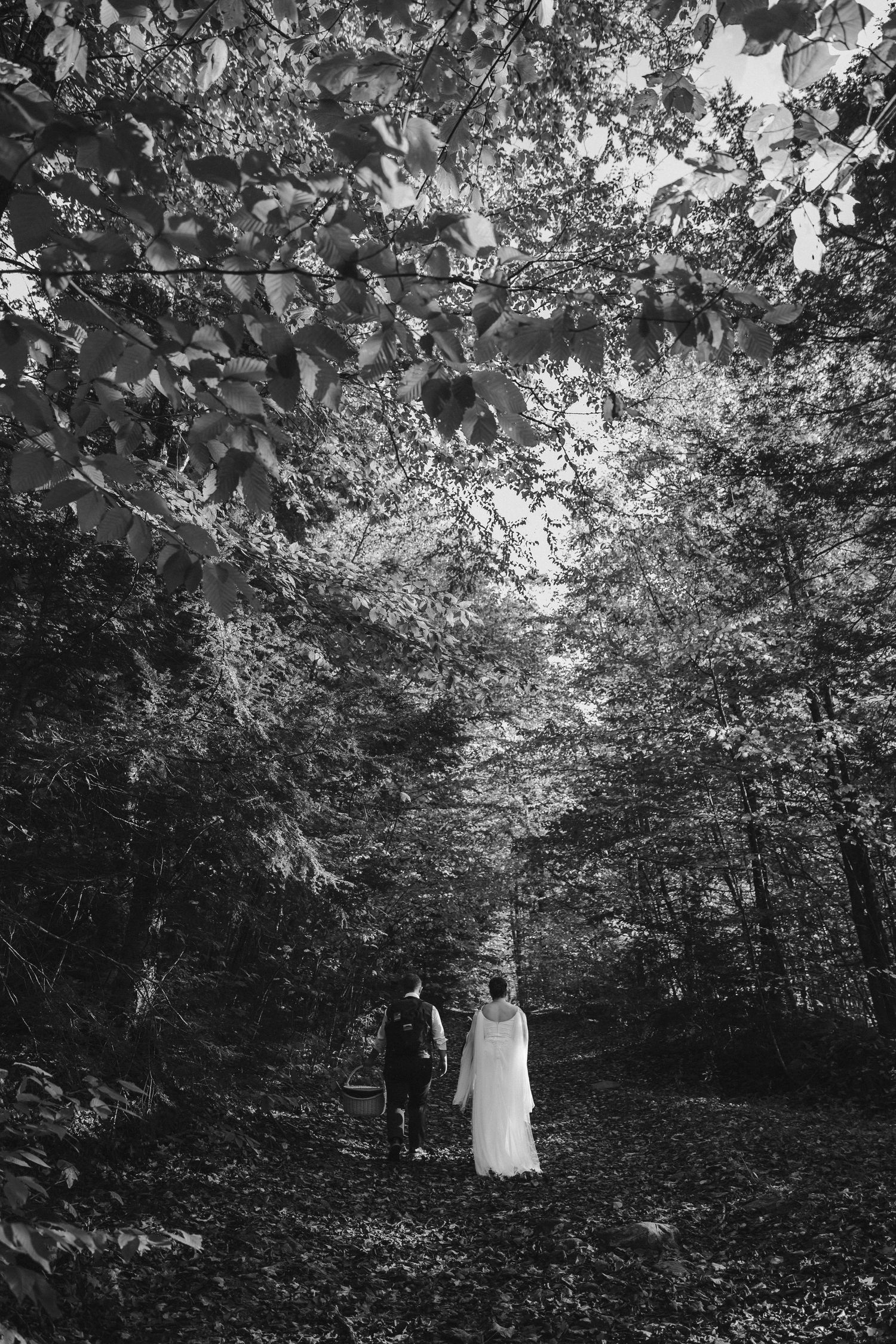 Black and white wedding photo of couple standing beneath forest canopy.