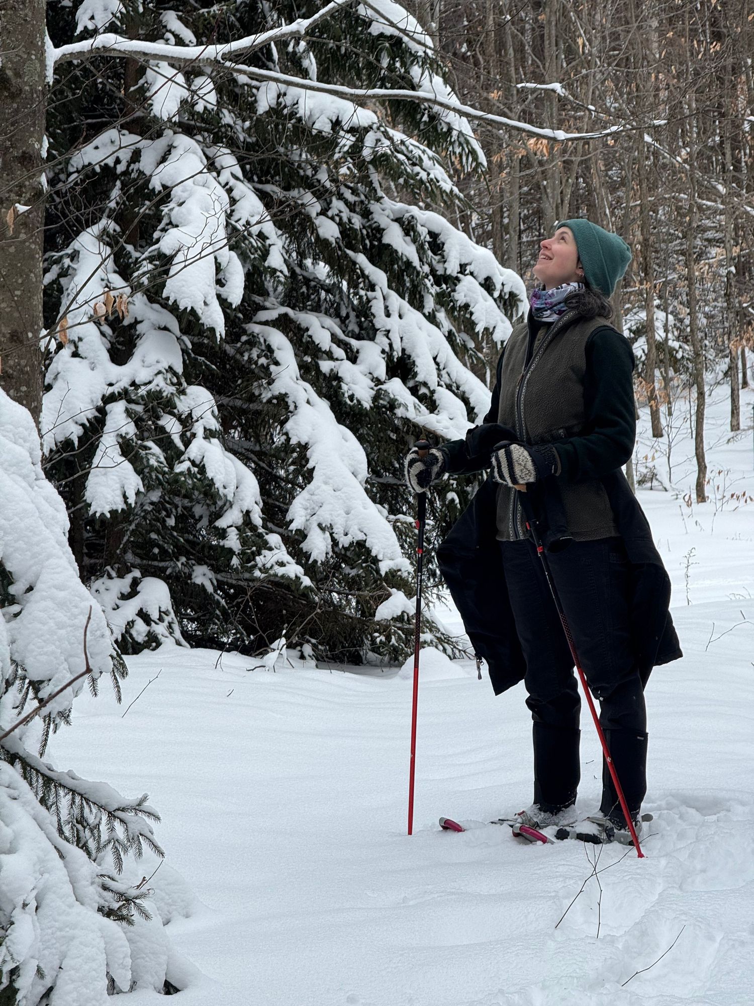 Woman snowshoeing in snowy winter forest looking up at snow-covered pine trees with trekking pole.