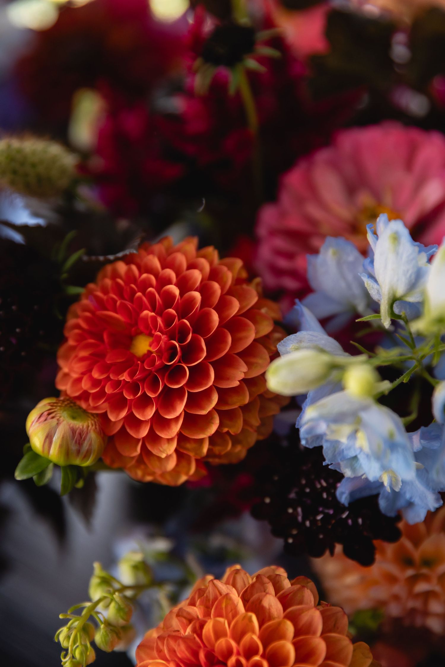 Close-up view of vibrant orange dahlia flowers with white daisies against a dark background in a floral arrangement.