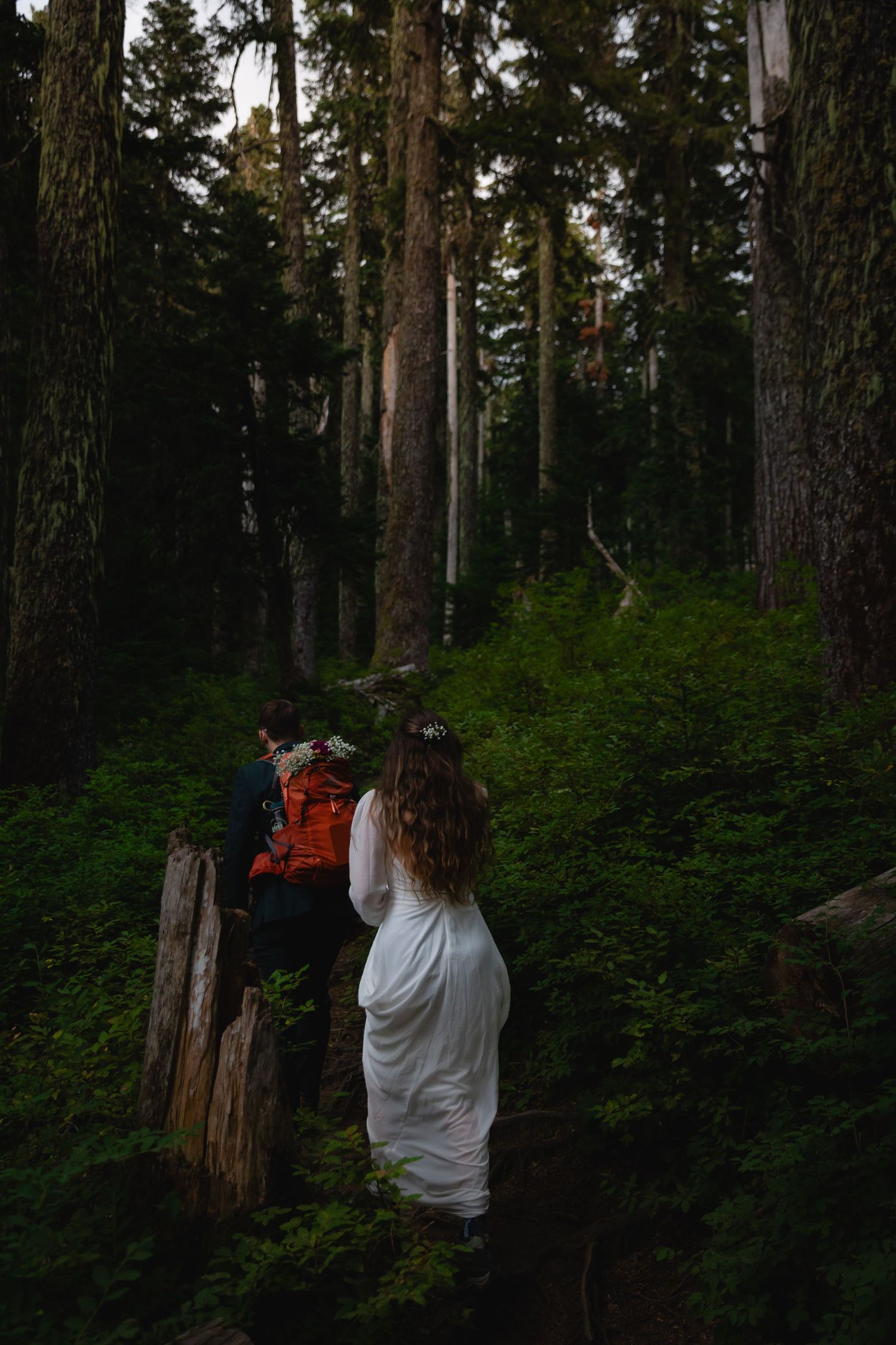 A bride in a white dress follows her groom through a lush dense forest trail.