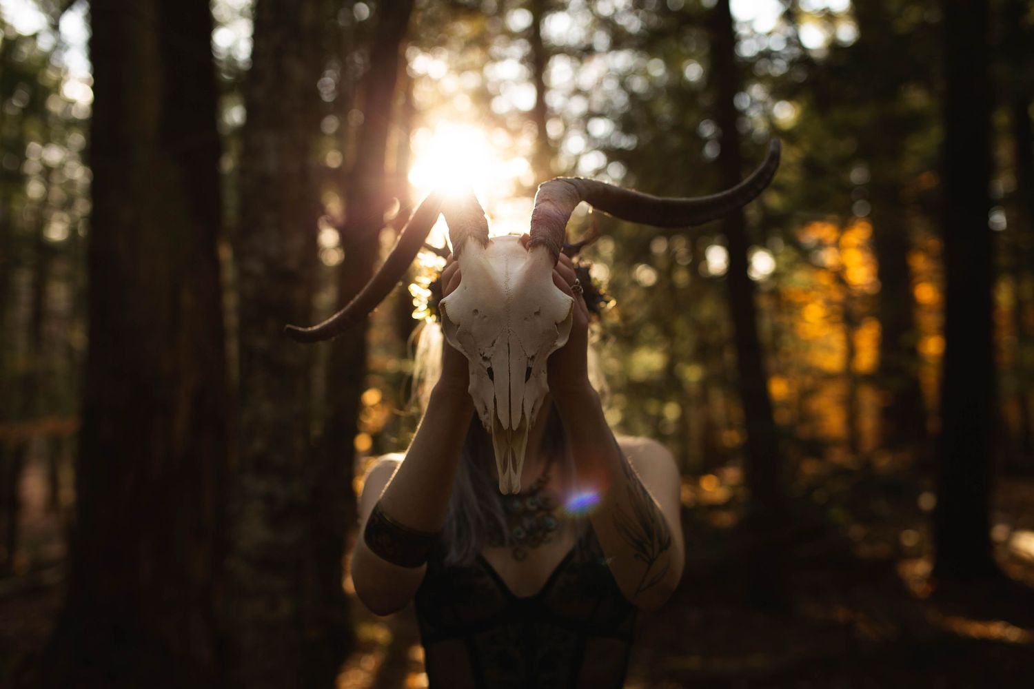 Person holding animal skull in sunlit forest with bokeh light effect.