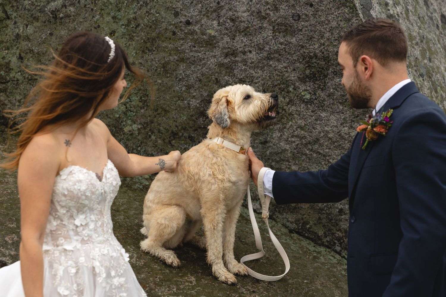Wedding couple pets their golden retriever against a rocky mountain backdrop.