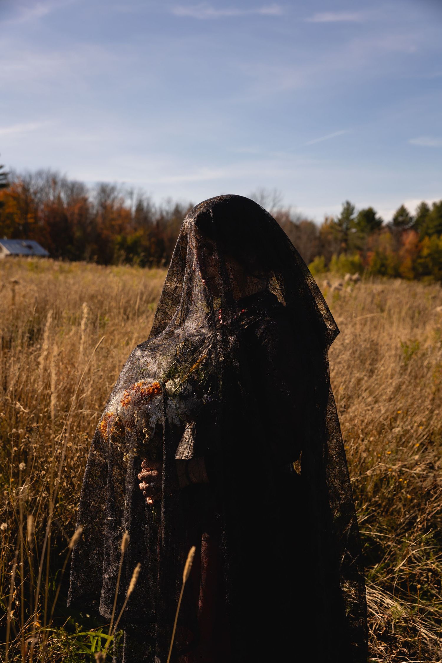 A dark hooded figure stands mysteriously in a golden autumn field under a cloudy sky.