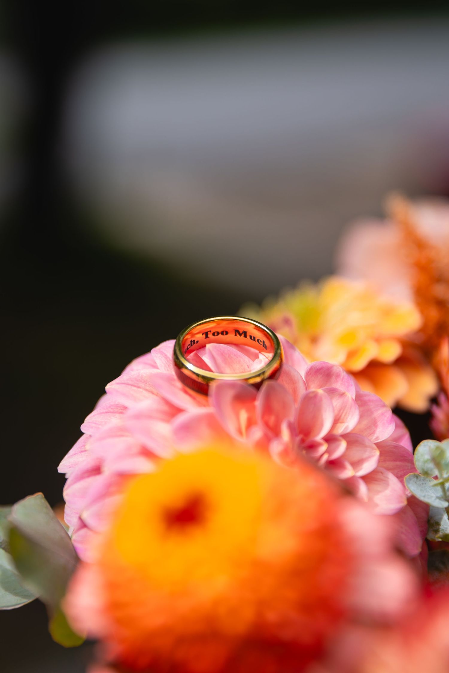 Close-up macro photograph of pink and orange rose petals with soft focus and blurred background creating dreamy effect.