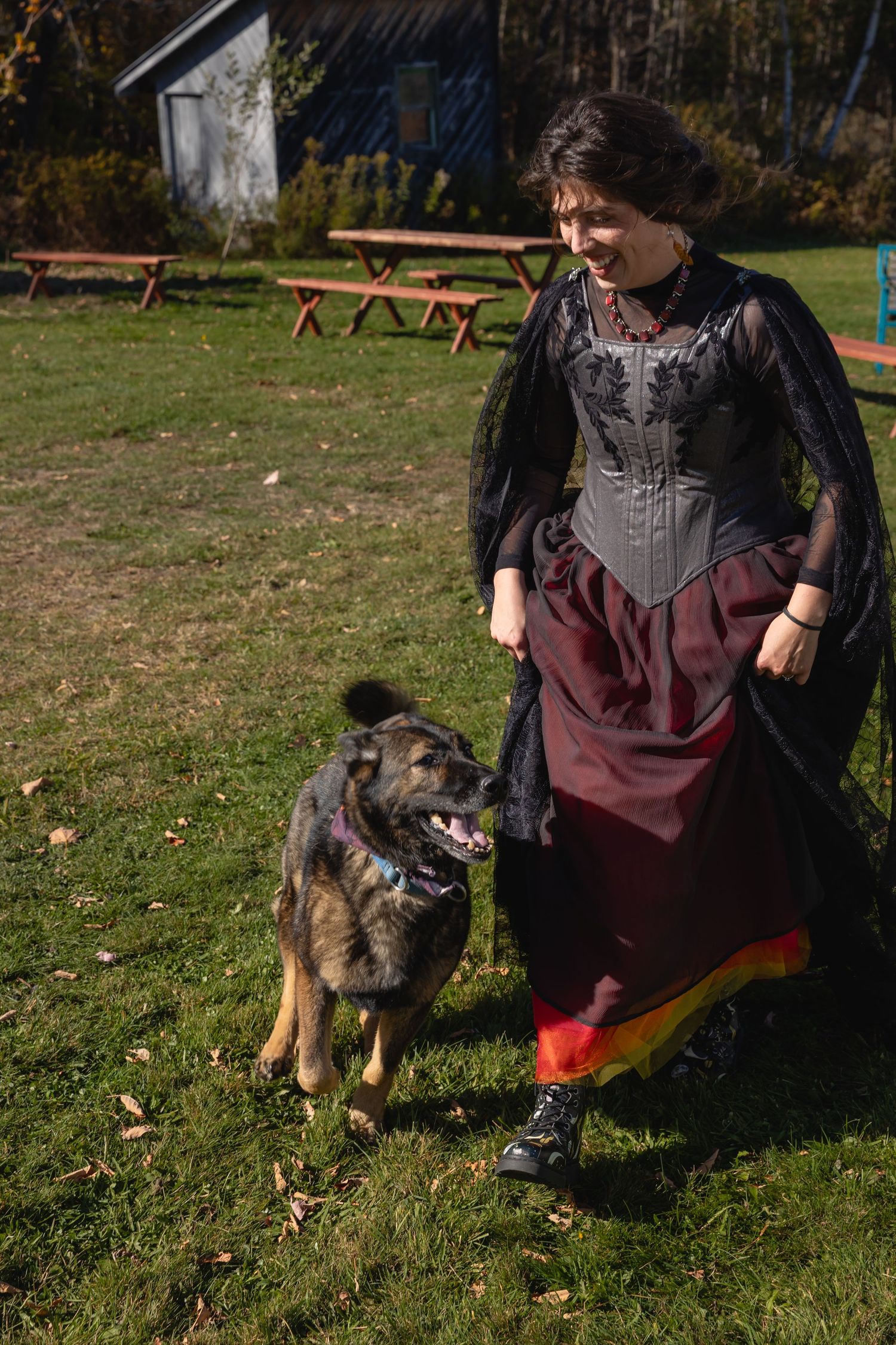 A person sits on grass with a large German Shepherd dog in an outdoor park setting during autumn.