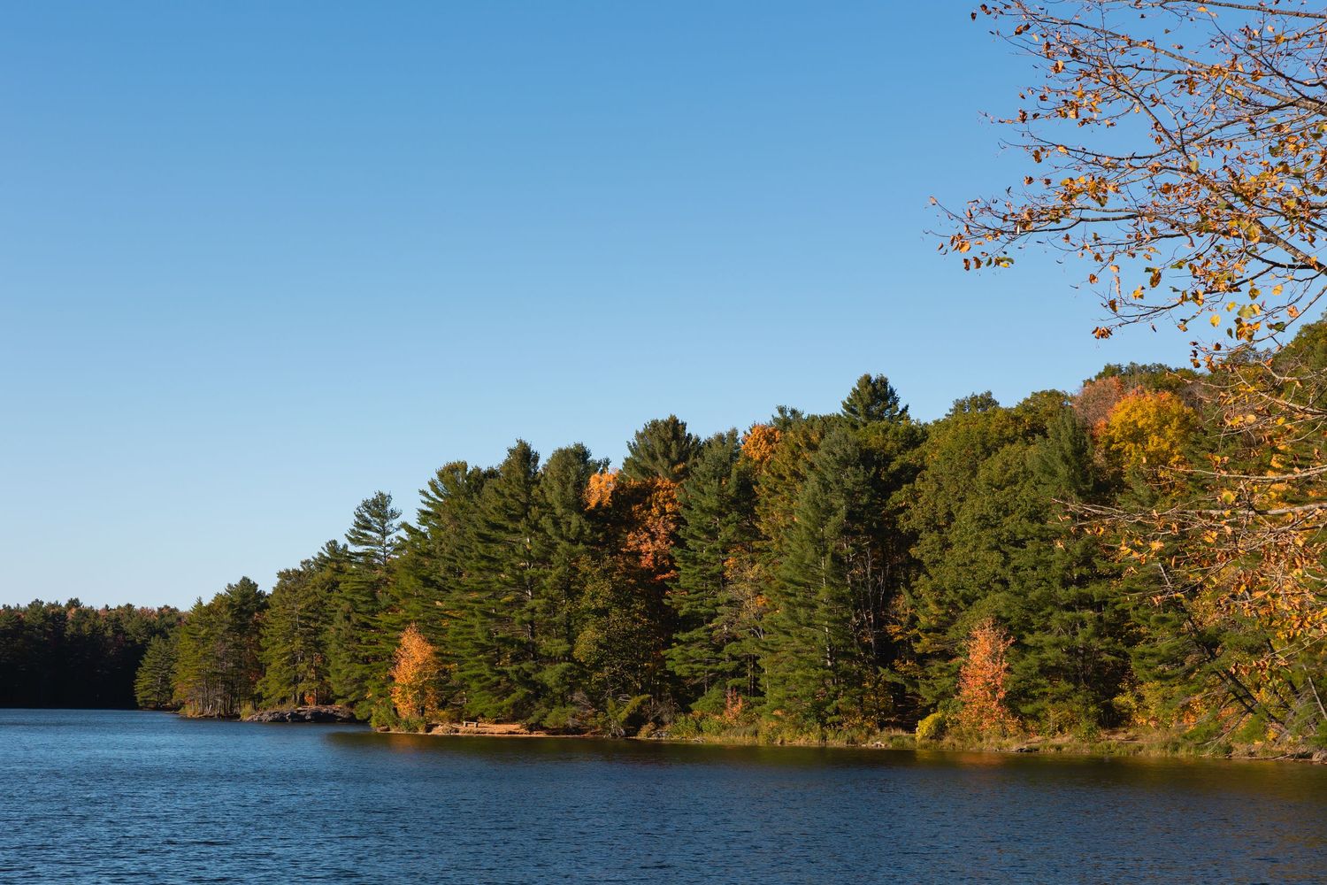 Calm lake reflecting colorful autumn trees under a clear blue sky on a sunny day.