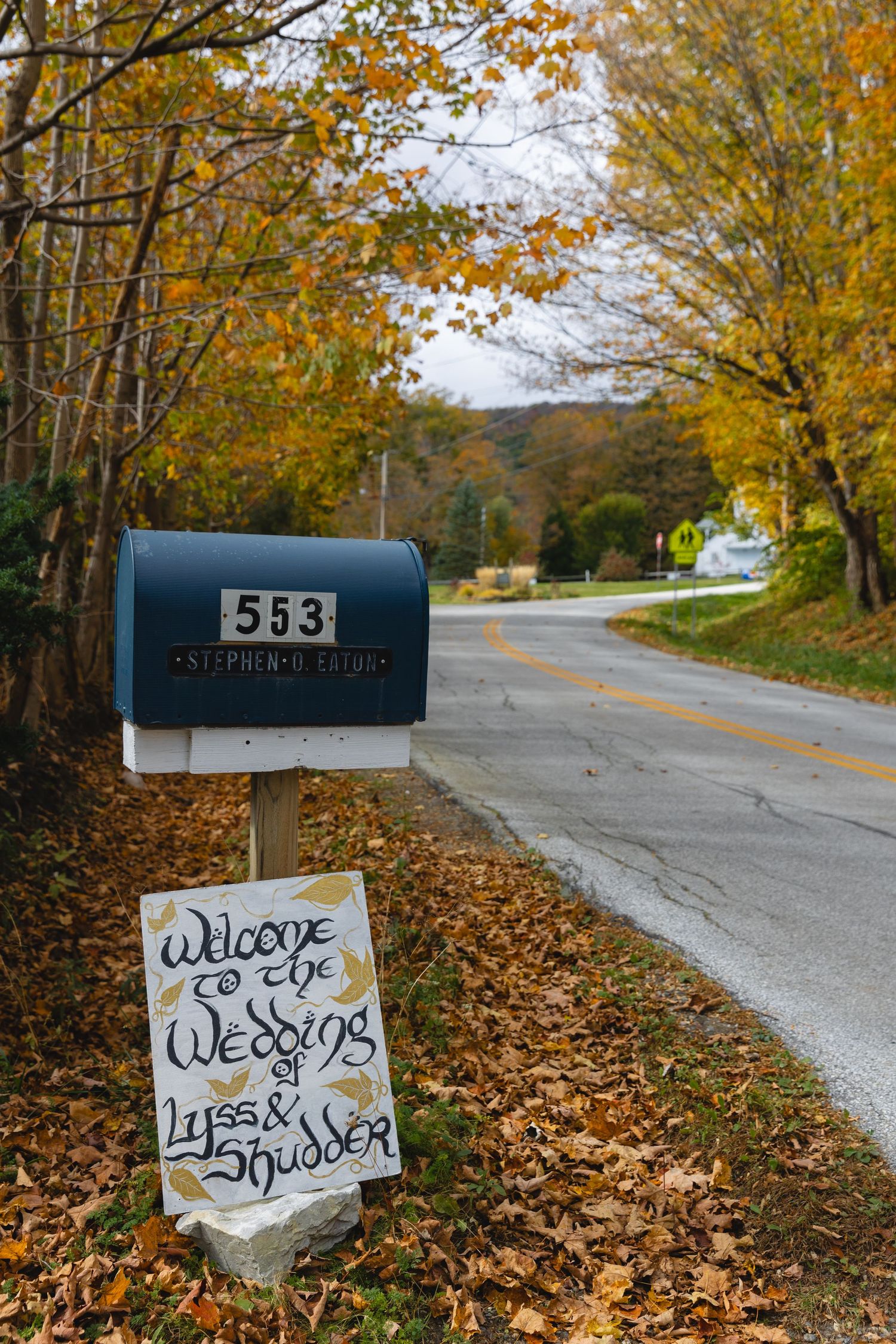 A mailbox with wedding welcome sign surrounded by fall foliage on a country road.