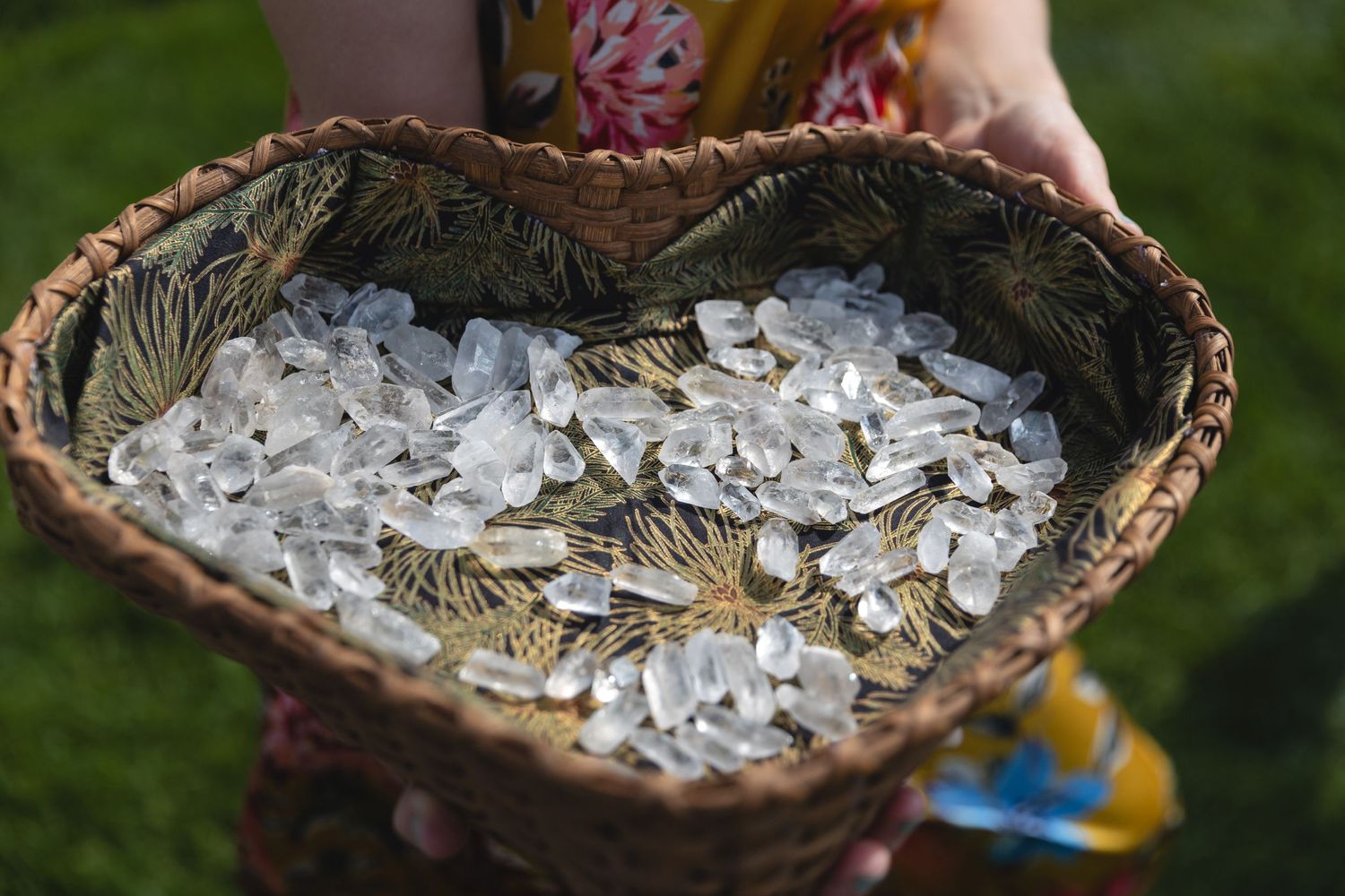 Heart-shaped basket filled with white flower petals held against grassy background.