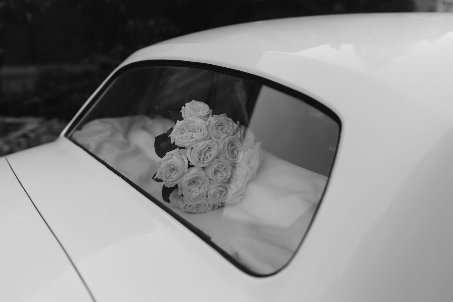 A plush teddy bear sits in the rear window of a classic white car.