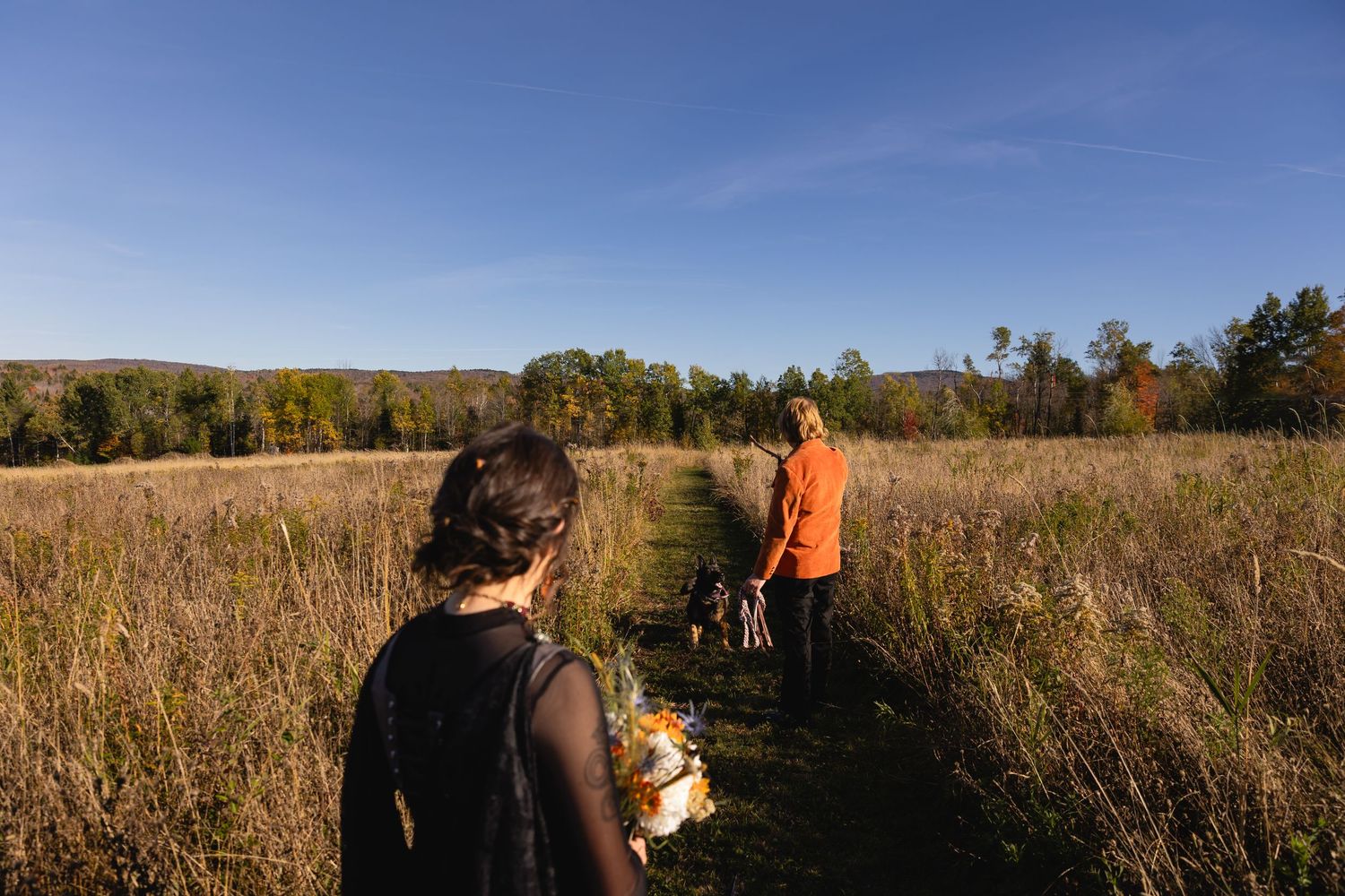 People walking on a trail through tall grass meadows on an autumn day with trees in the distance.