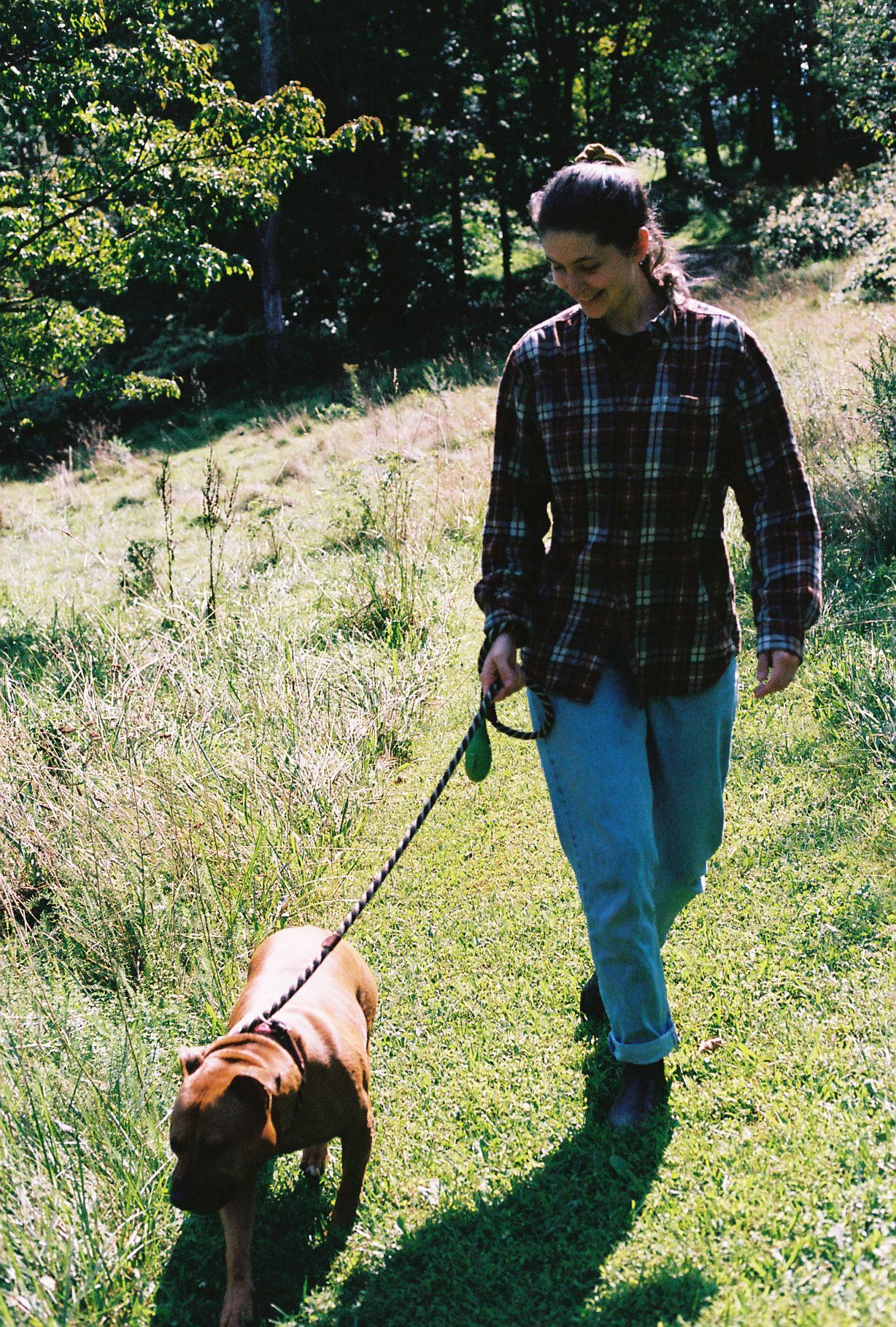 Young woman in plaid shirt and jeans walking a brown dog on a leash through a sunny green meadow.