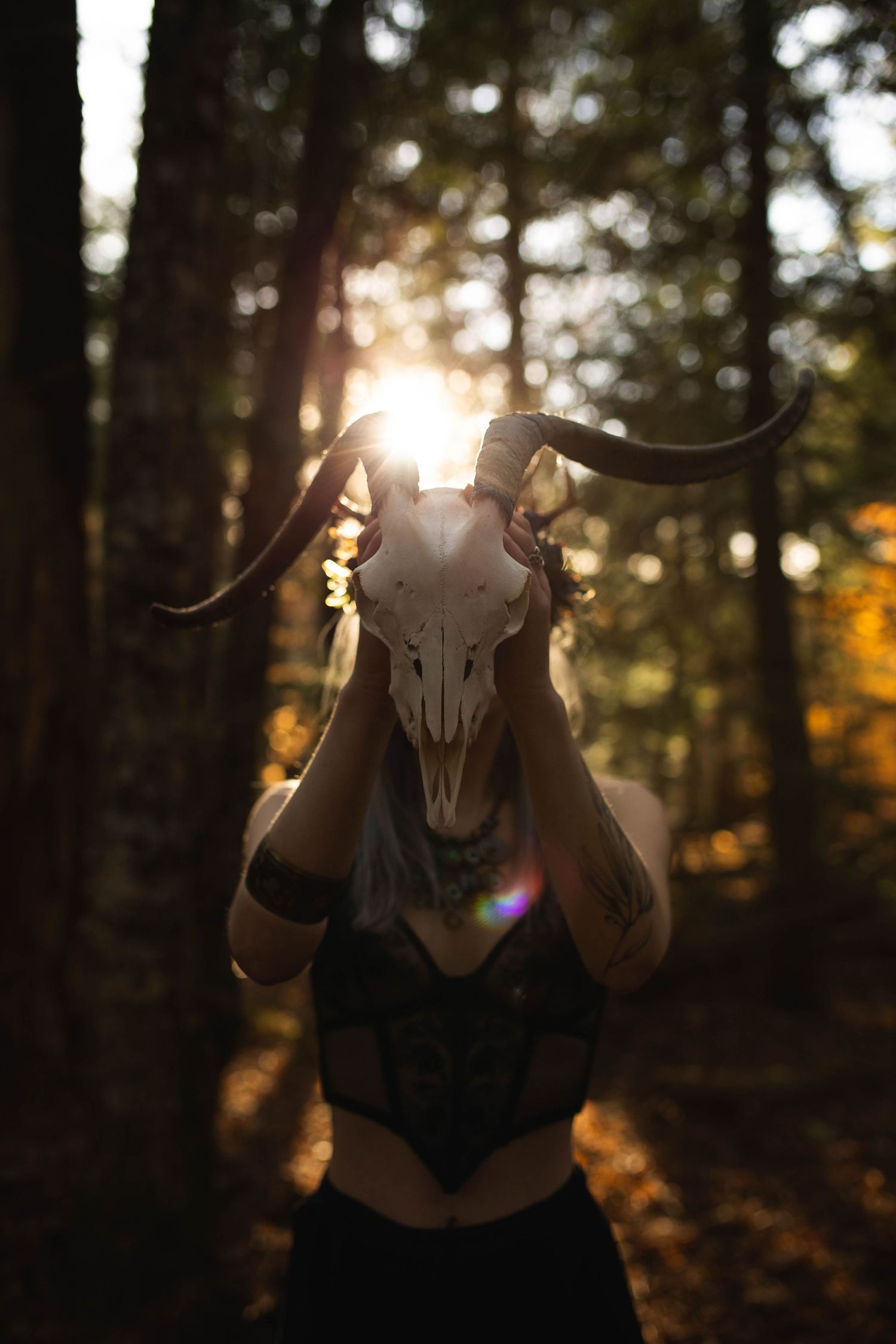 Person holds animal skull with horns in sunlit forest with dramatic lens flare effect.