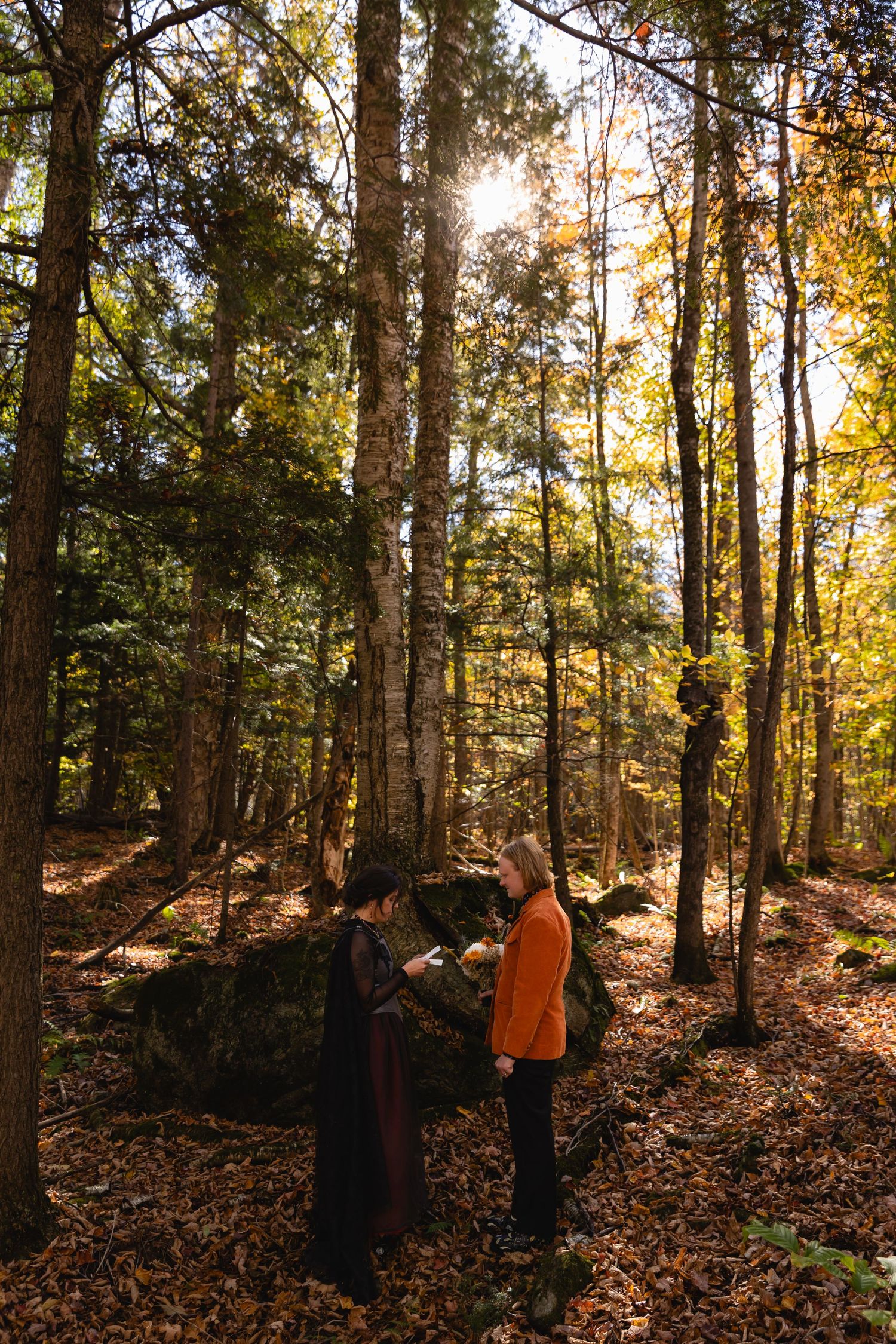 People in bright orange safety vests walk through a sunlit autumn forest with fallen leaves covering the ground.