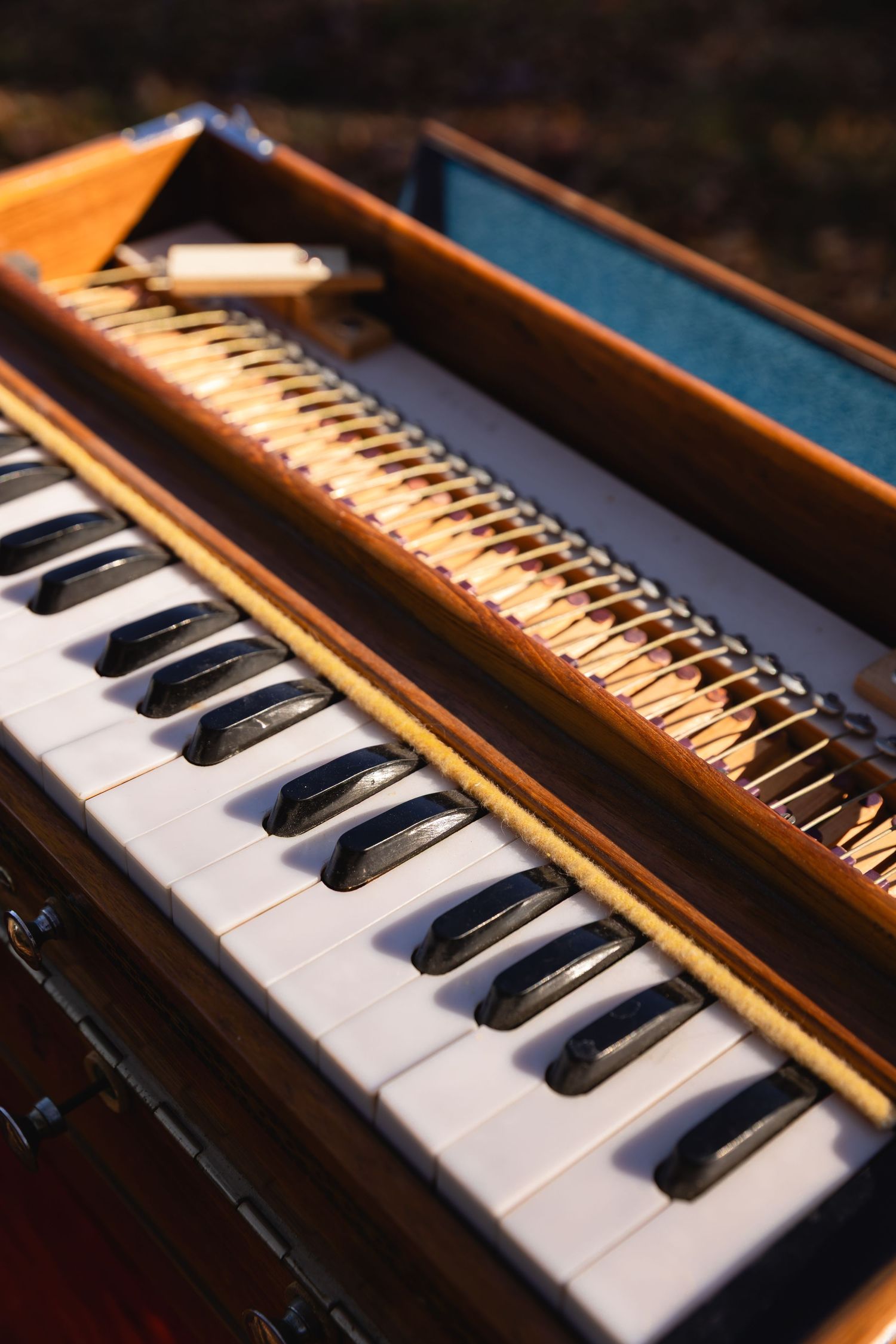 Close-up view of vintage harmonium keyboard keys showing white and black keys in warm lighting.